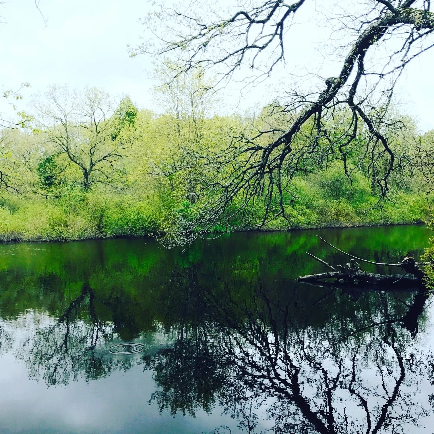 Charles River