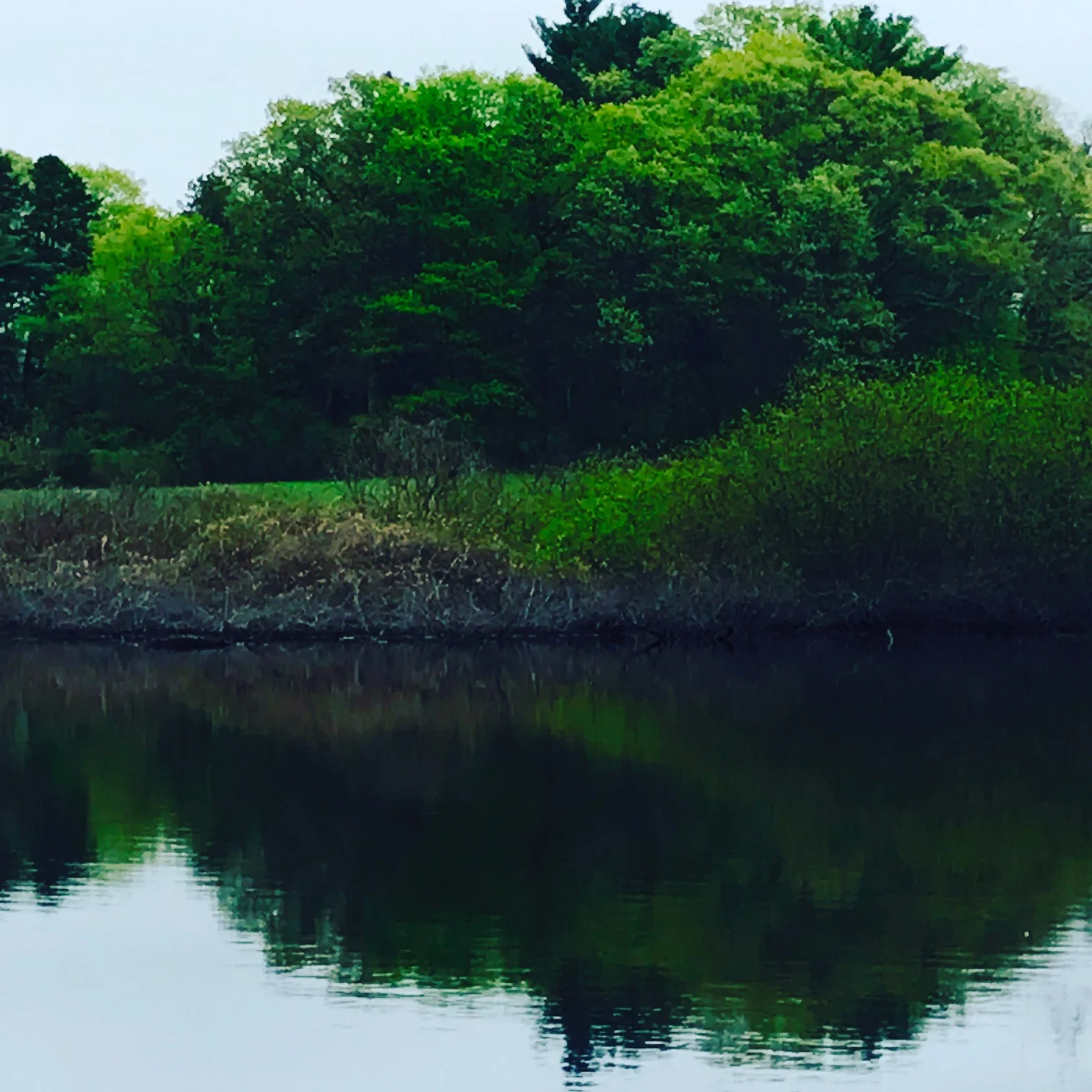 Charles River