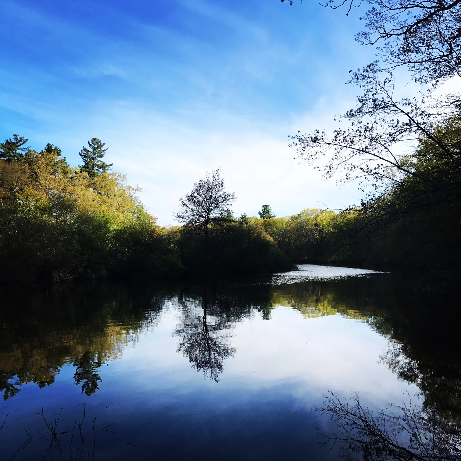 Charles River