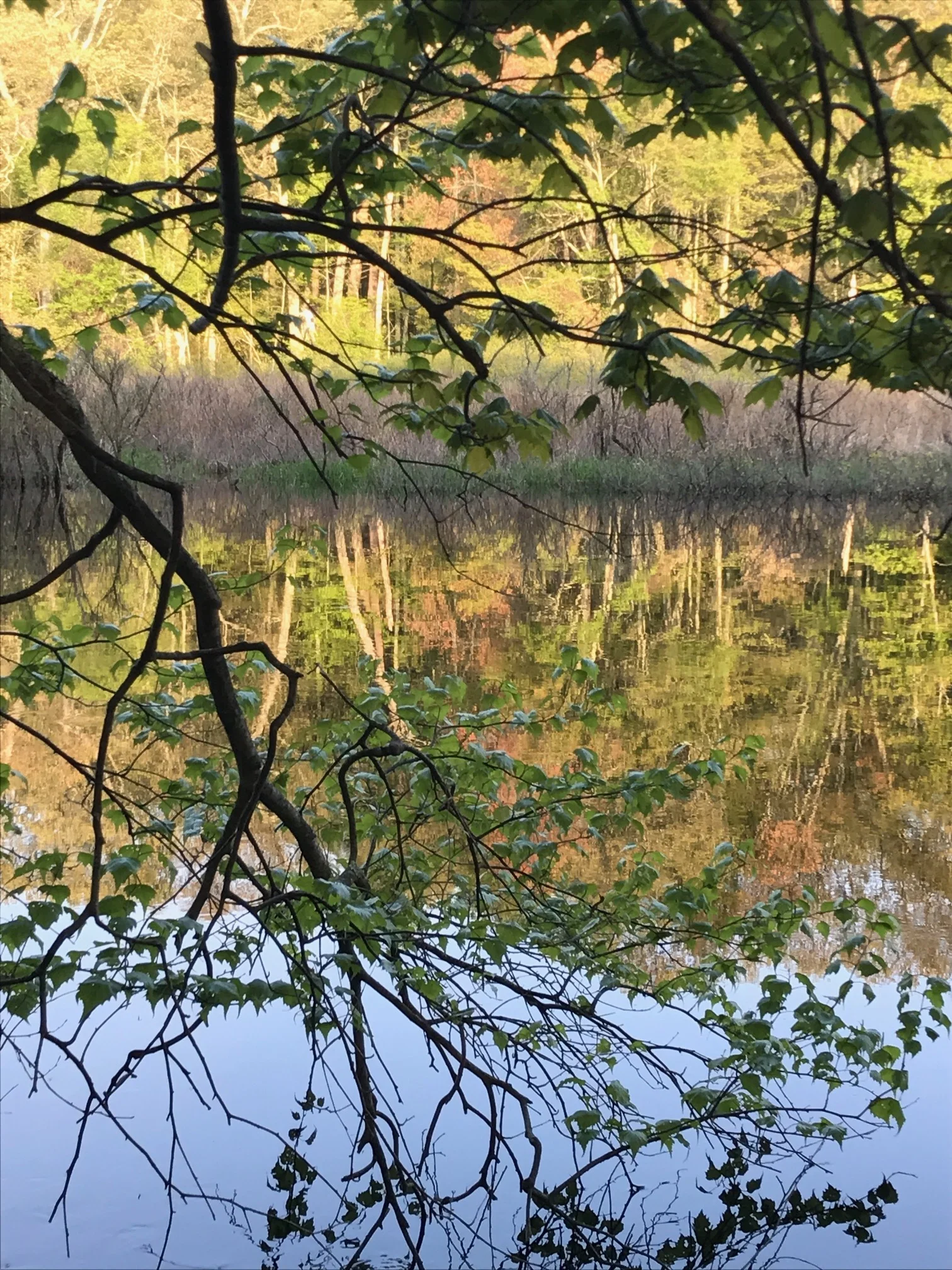 Charles River