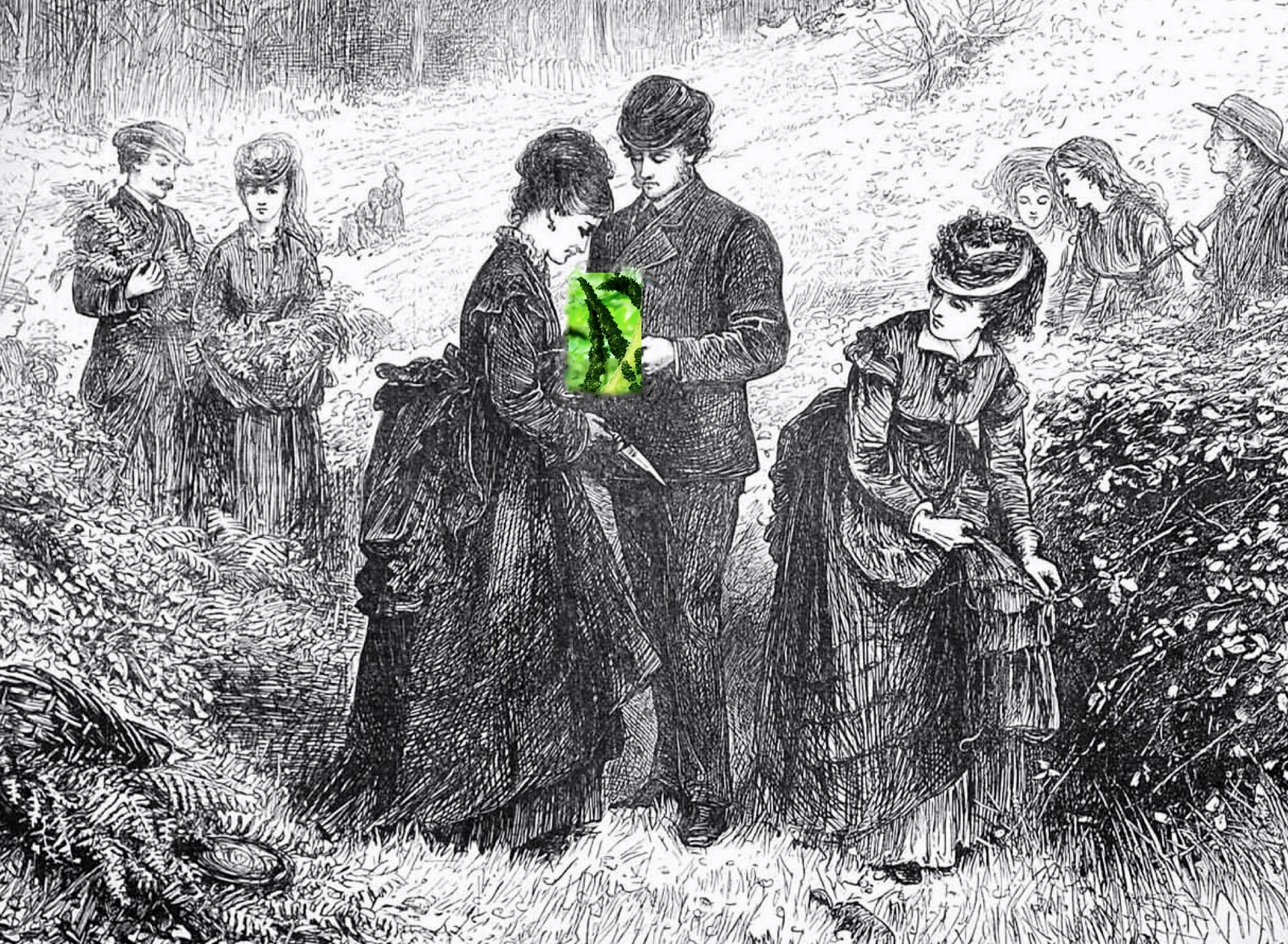 "Gathering Ferns" ( Helen Allingham ) from The Illustrated London News , July 1871. (Alteration by Kelly DuMar)