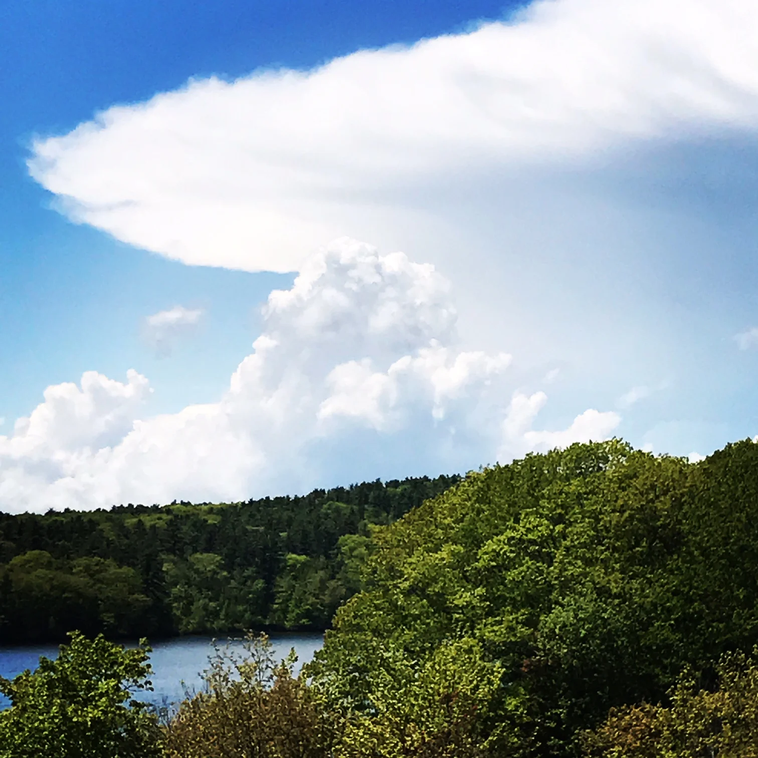 Friendly Clouds, Lake Damariscotta