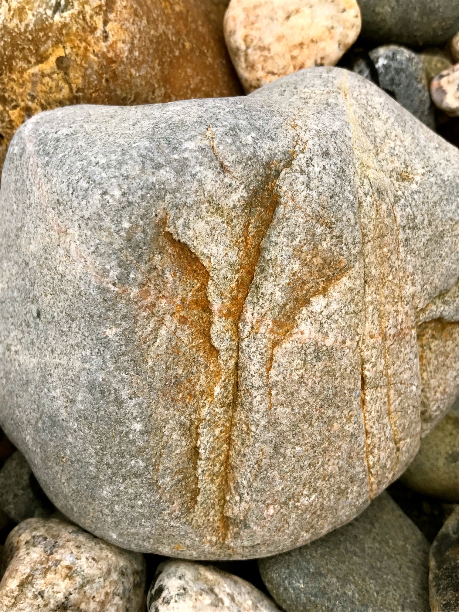 rock 2.jpg