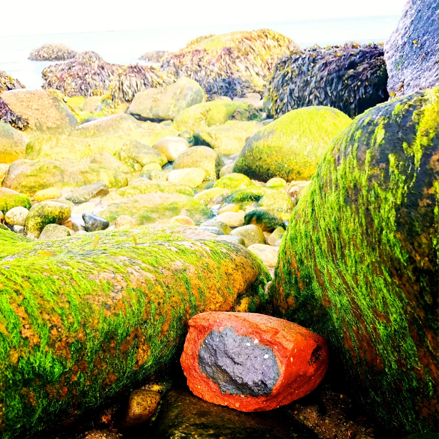 Leftover Brick, Chilmark, Brick Factory