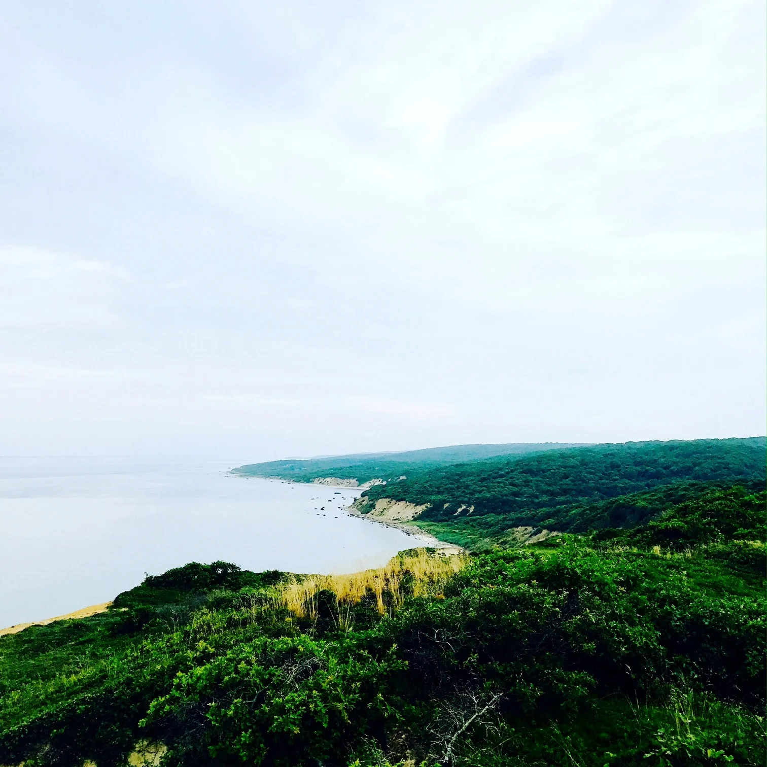 Menemsha Hills