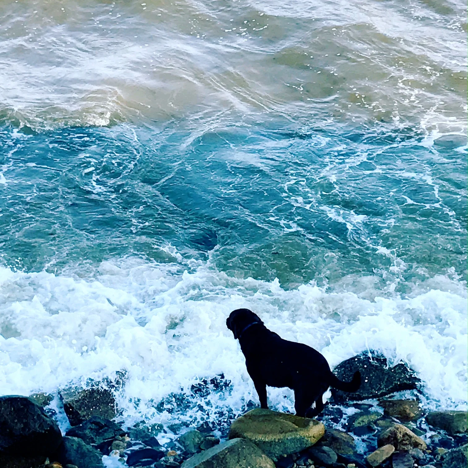  High Tide