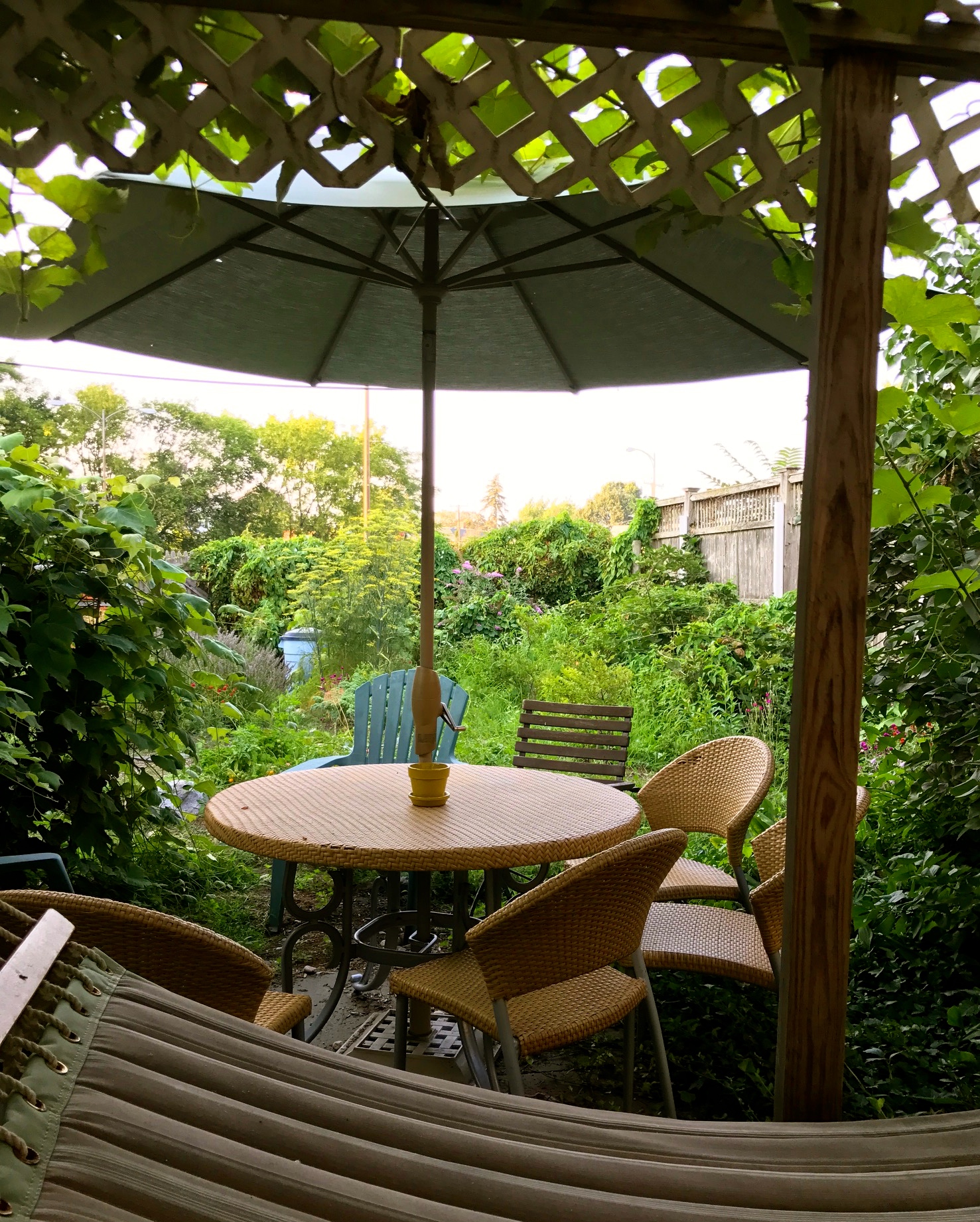 Hammock.jpg