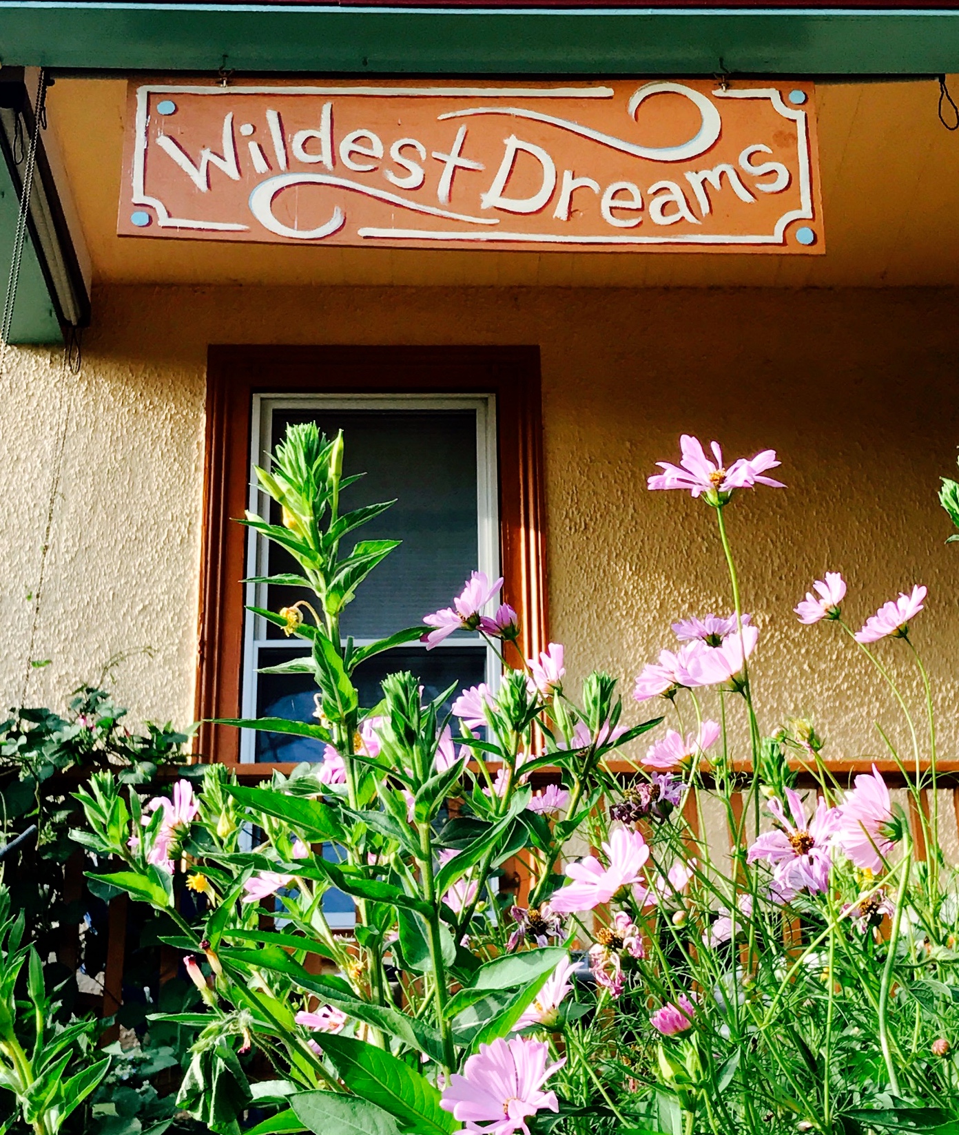 wildest dreams.jpg