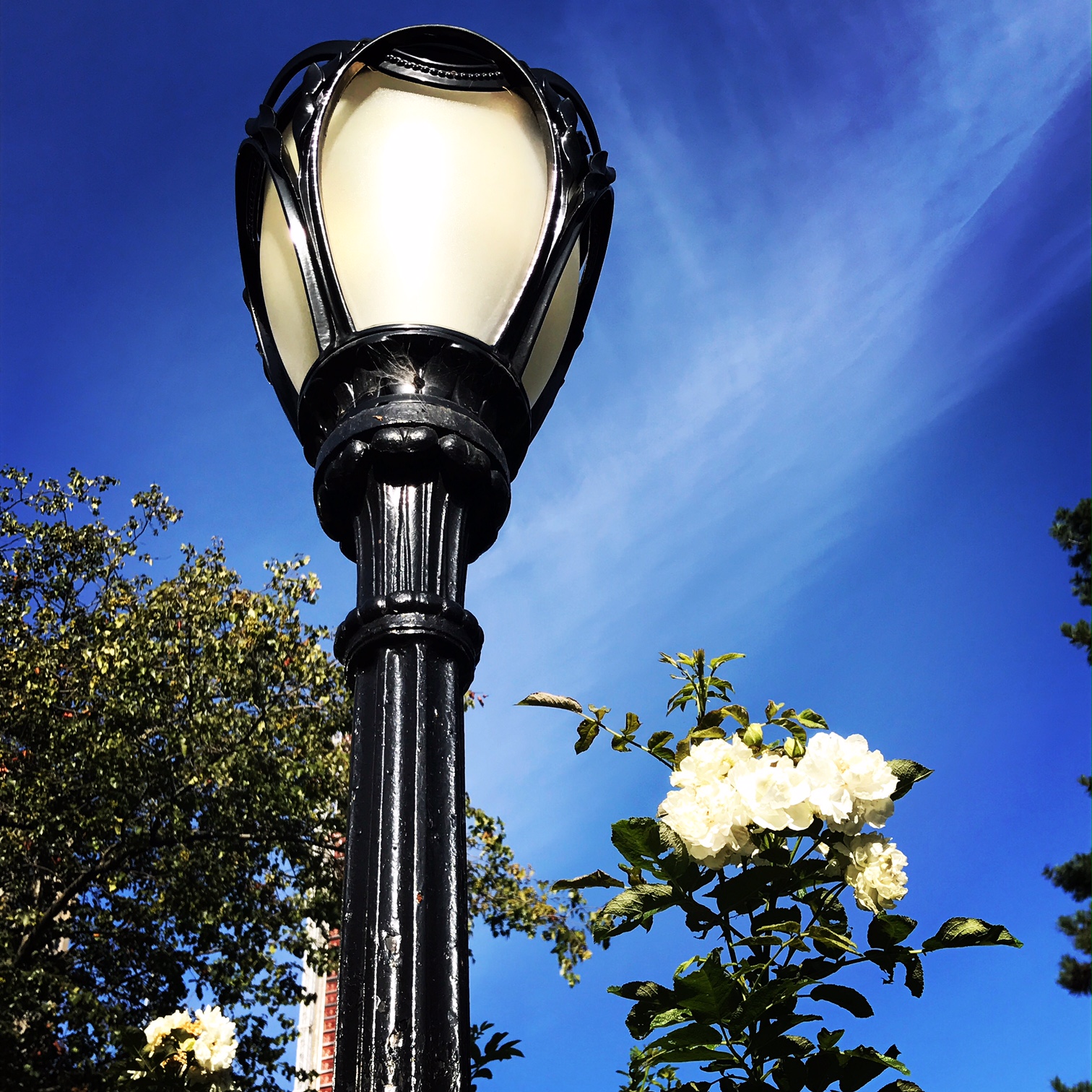 Lamp near Central Park