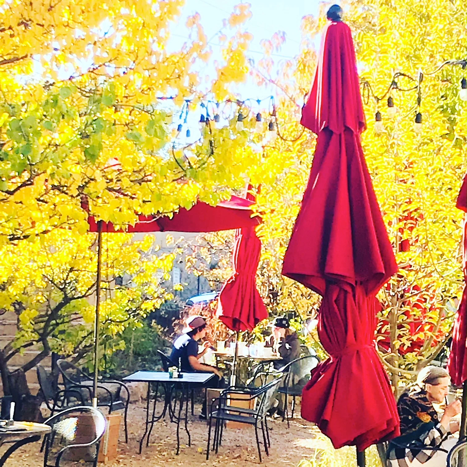 red umbrellas.JPG