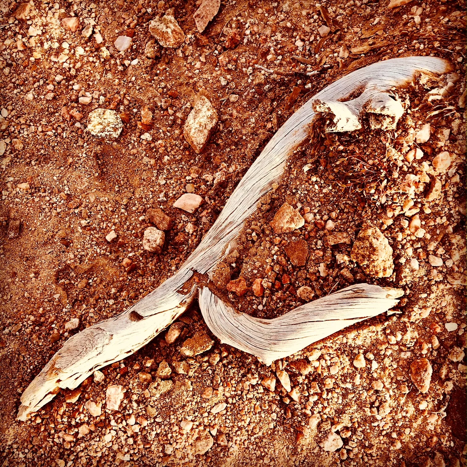 stick on ground.JPG