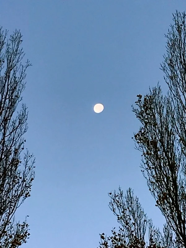 Truchas, Morning Moon and Aspens