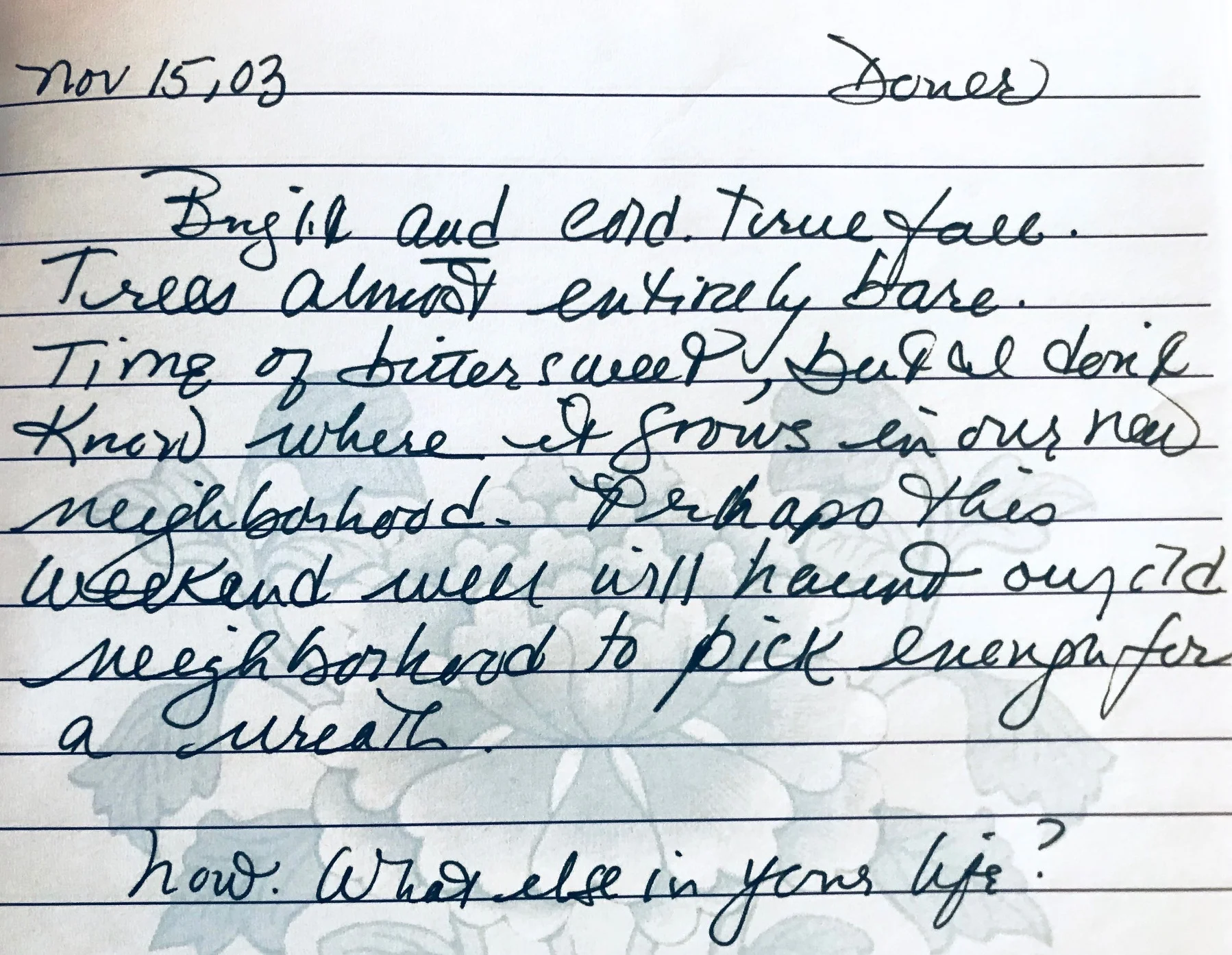 Source Text: Diary for Frances, Nov. 15, 2003