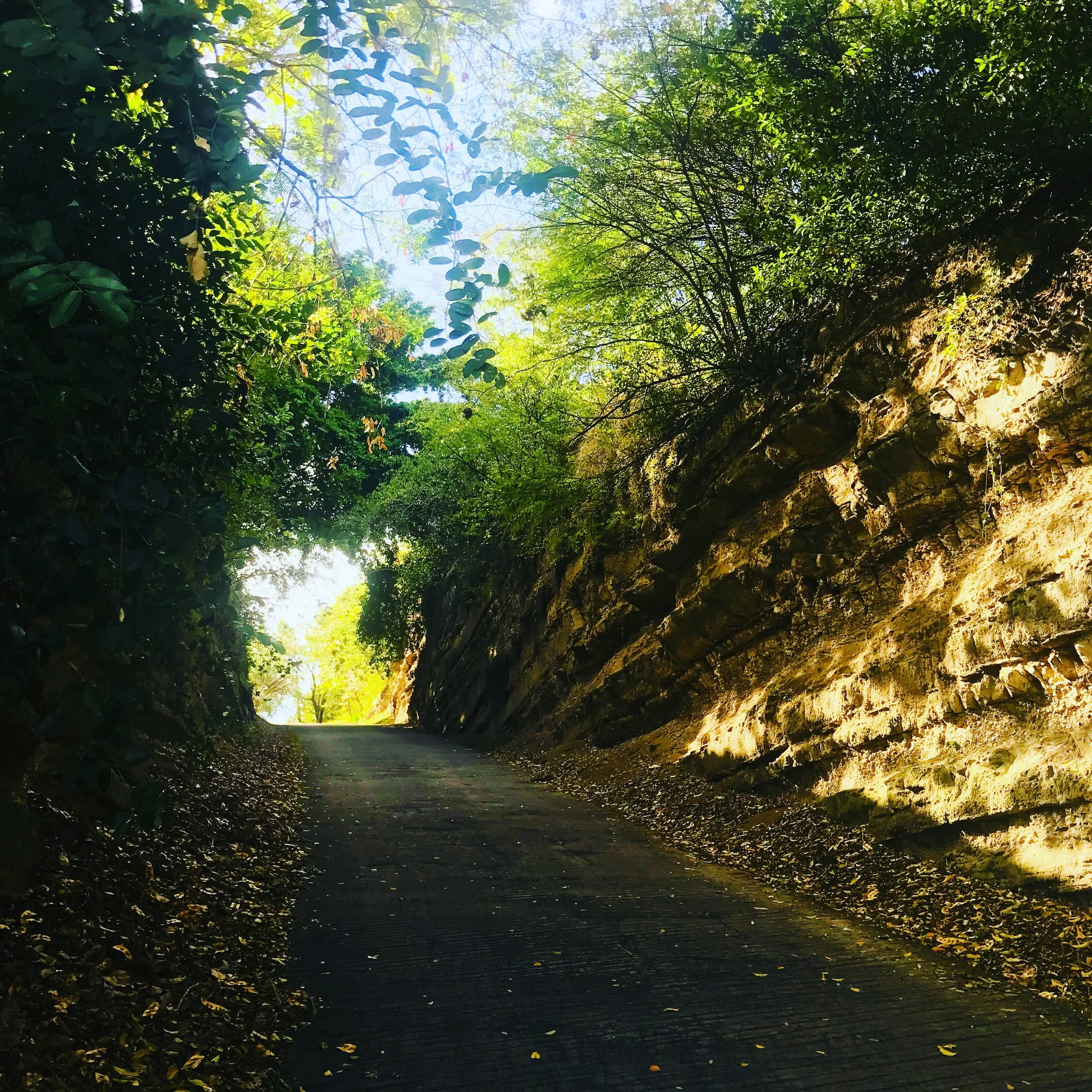 tunnel to Geoff Martinique.JPG