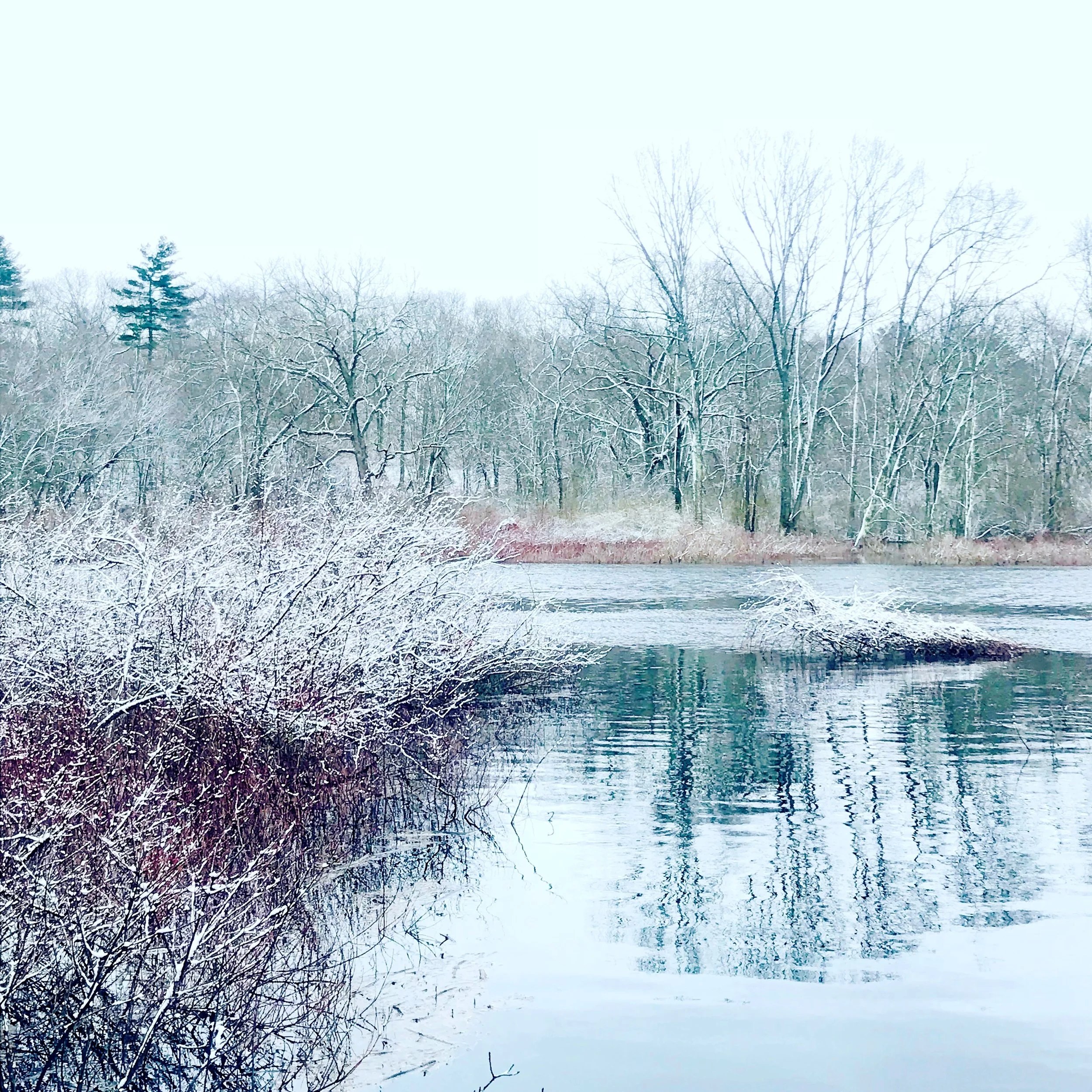Charles River