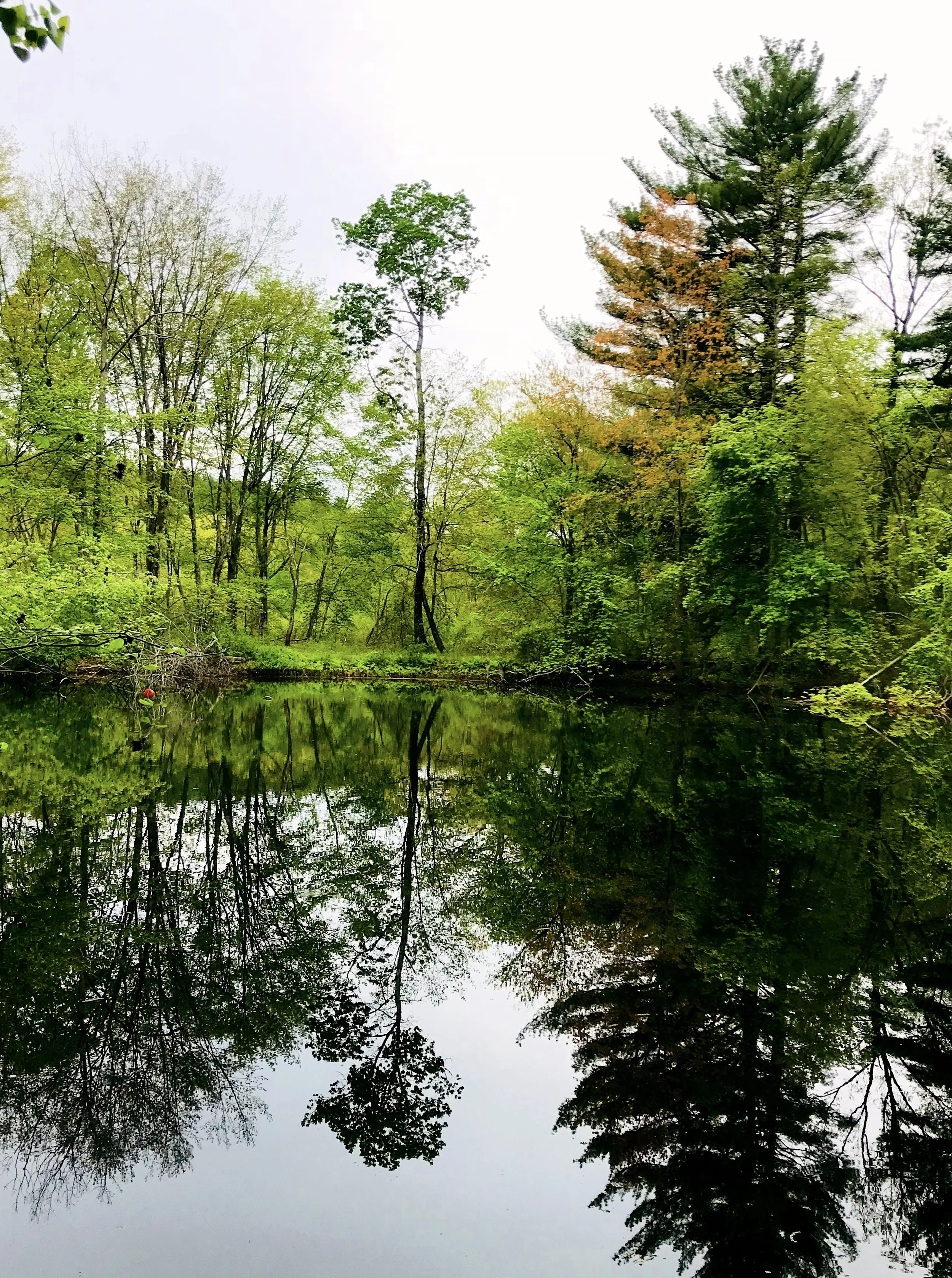 Weir Hill Trail, Sudbury, MA