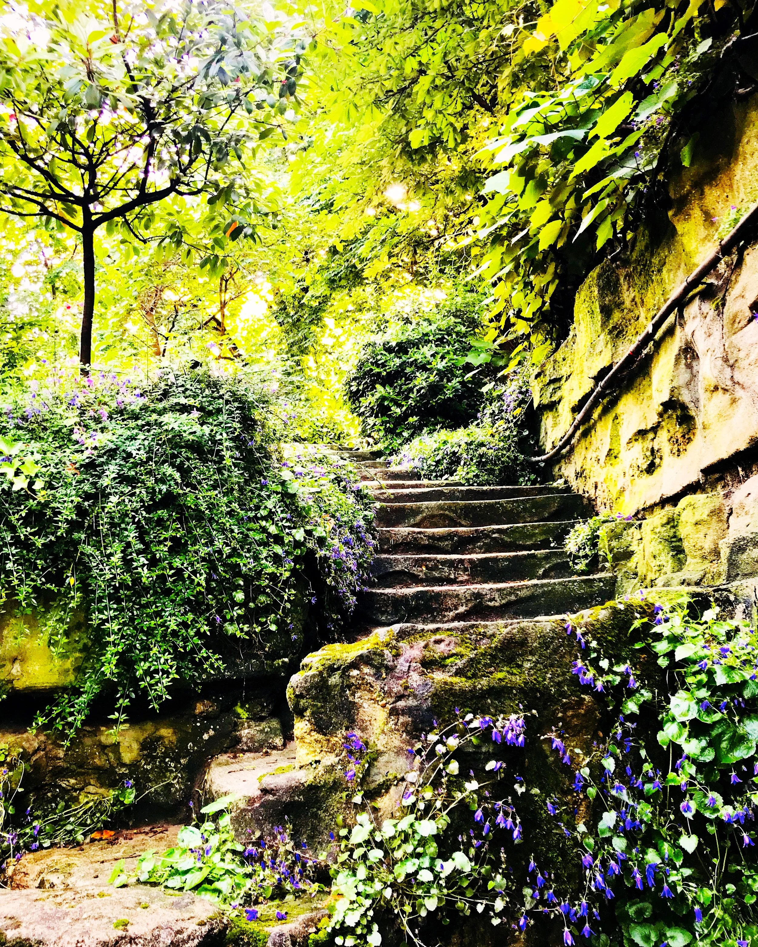 Garden at the Grand Palais