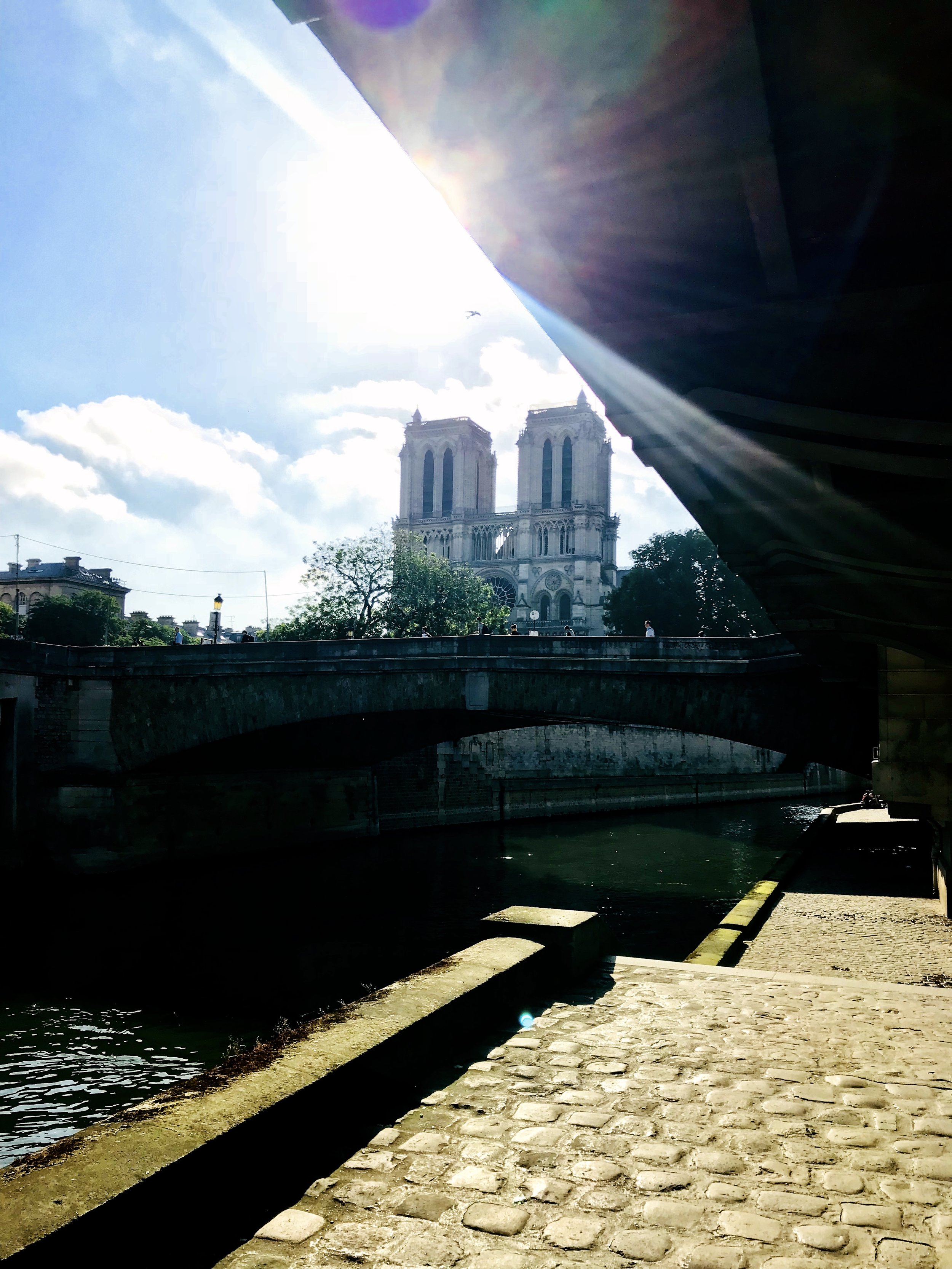 Notre Dame morning sun.JPG