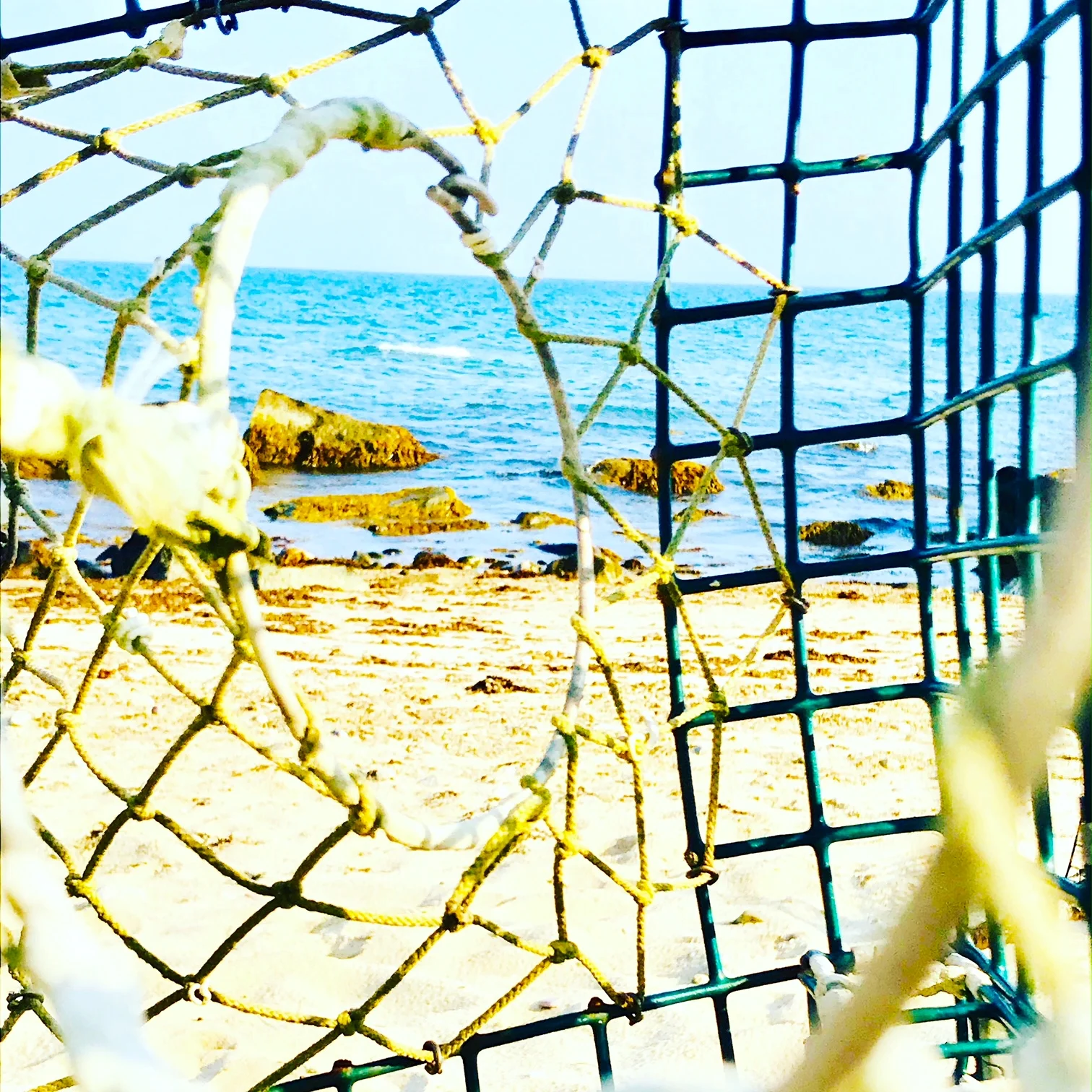 lobster trap.JPG