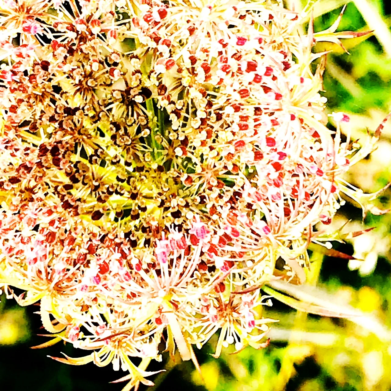 #NewThisDay Writing From My Photo Stream