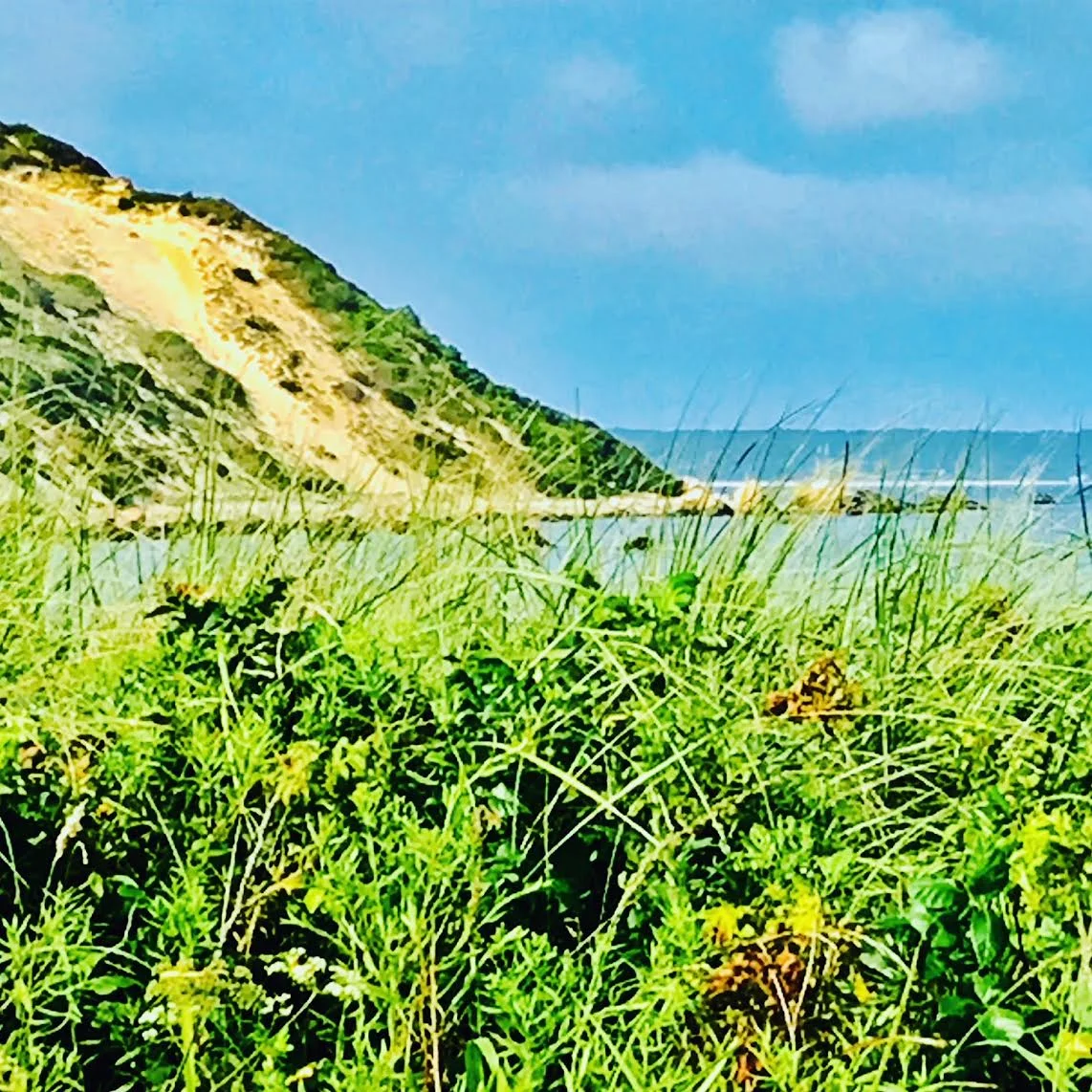 #NewThisDay Writing From My Photo Stream