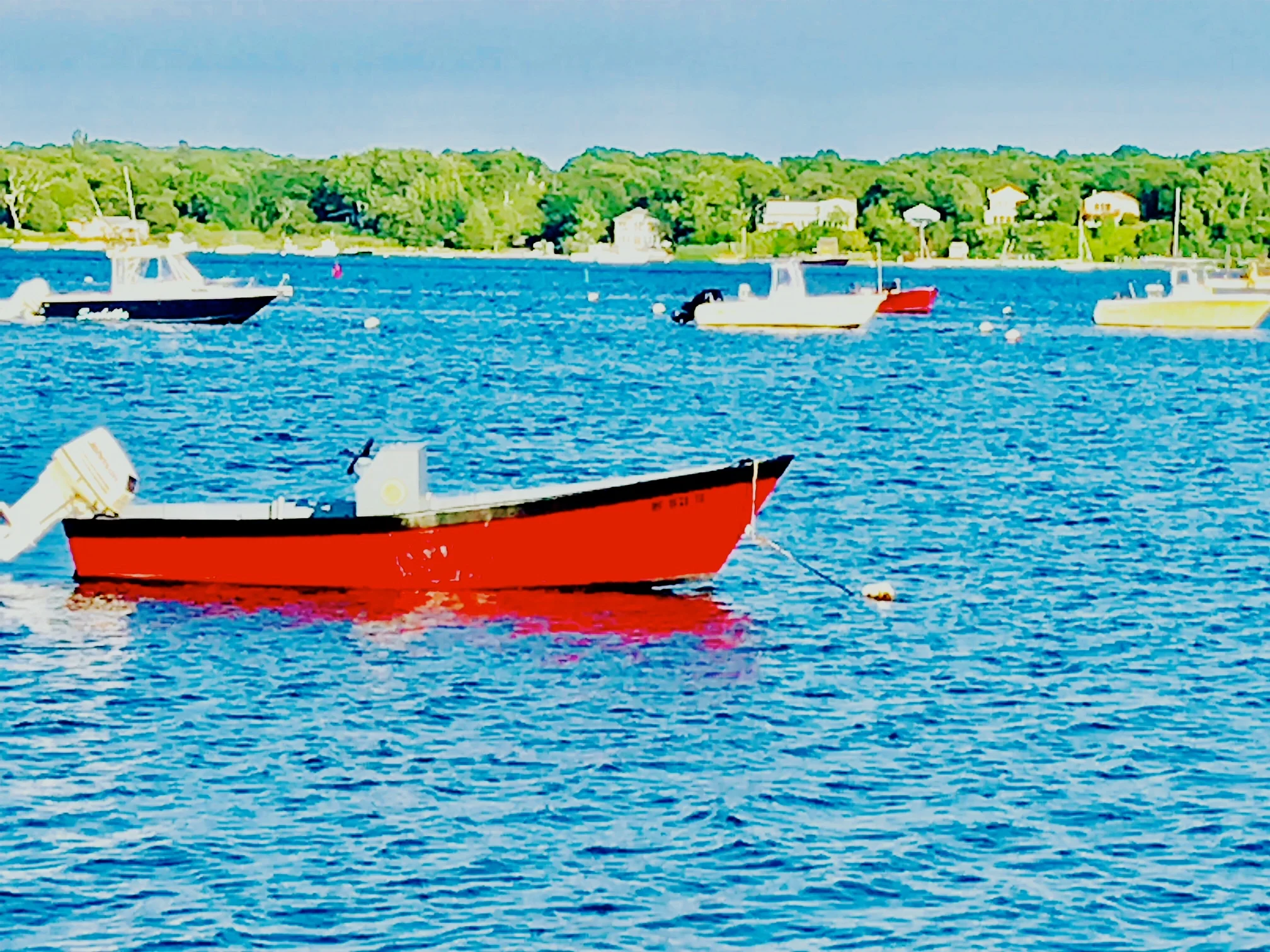 #NewThisDay Writing From My Photo Stream