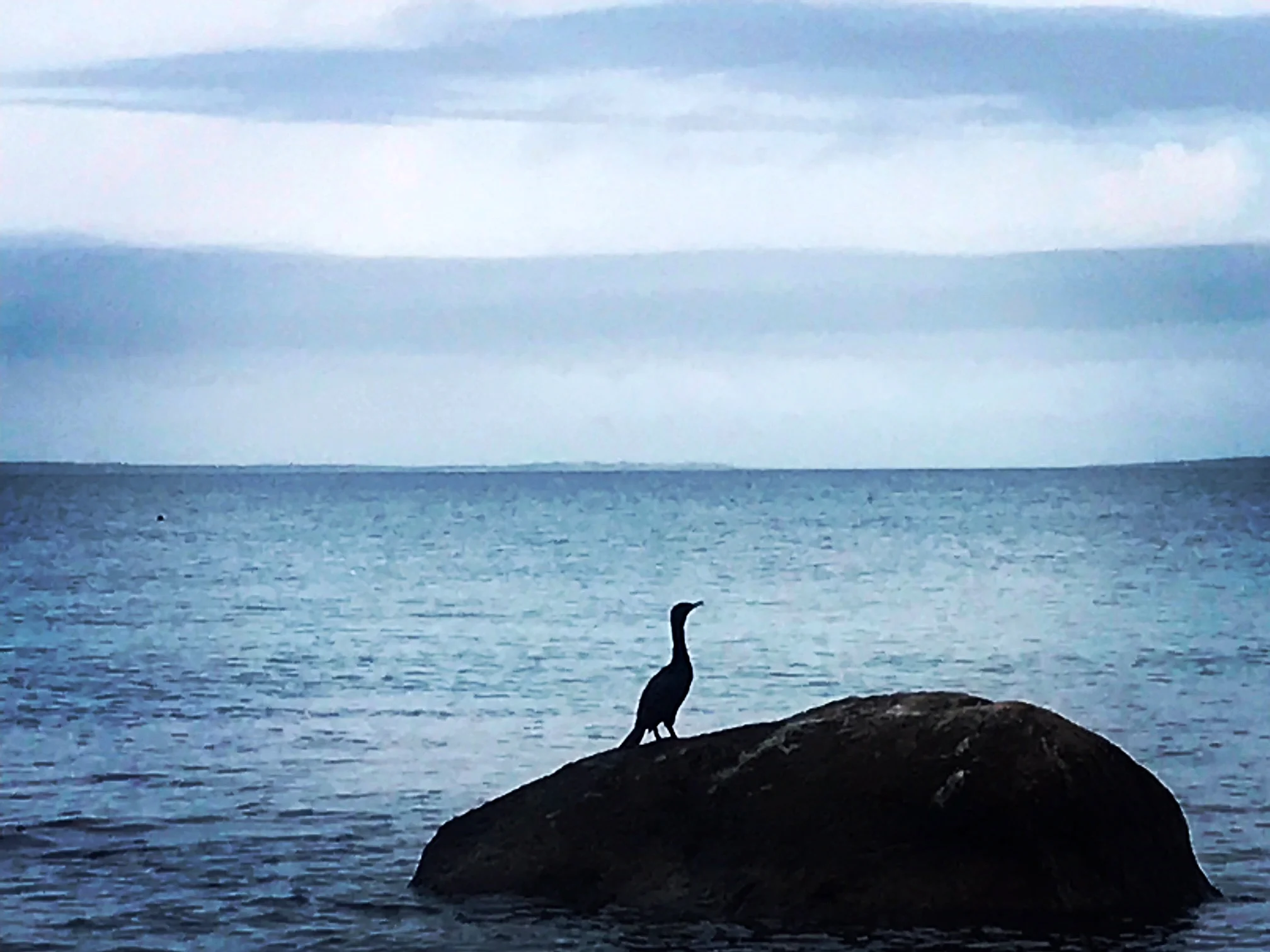 shore.JPG