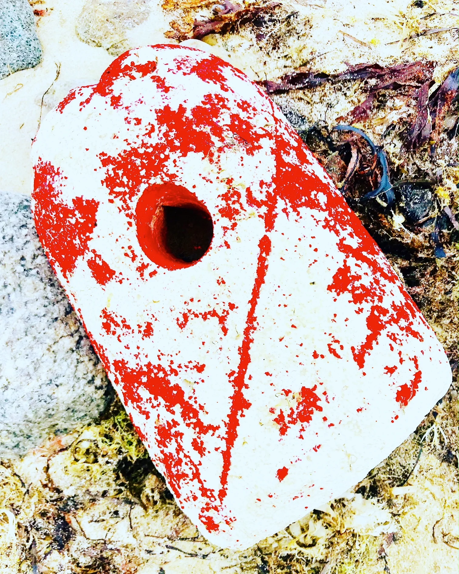 red buouy.JPG