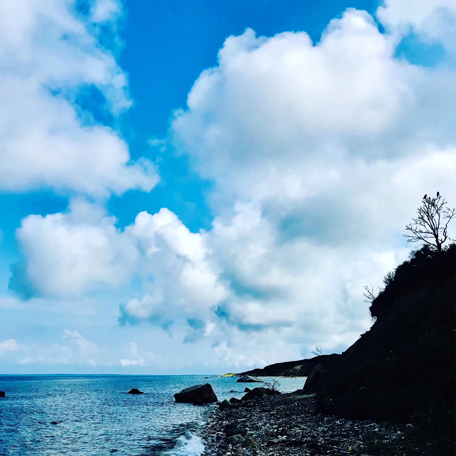 #NewThisDay Writing From My Photo Stream