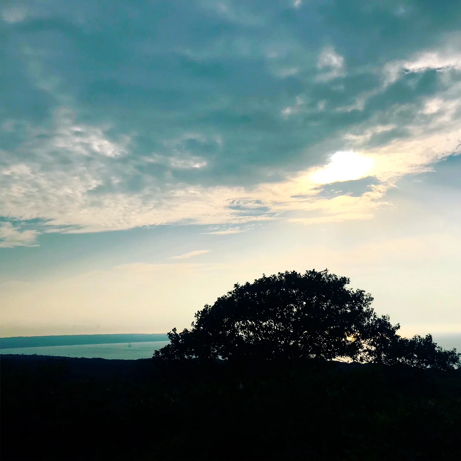 #NewThisDay Writing From My Photo Stream