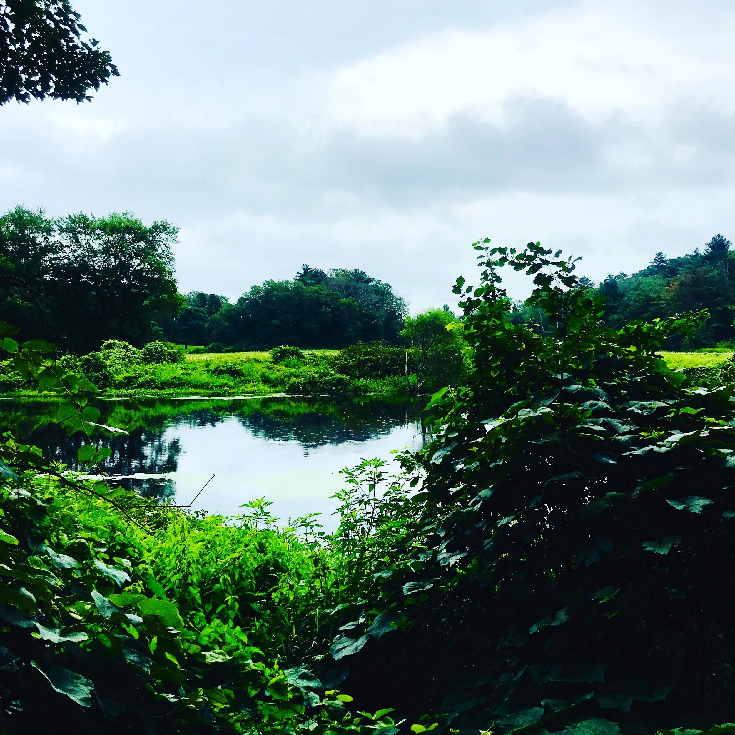 #NewThisDay Writing From My Photo Stream