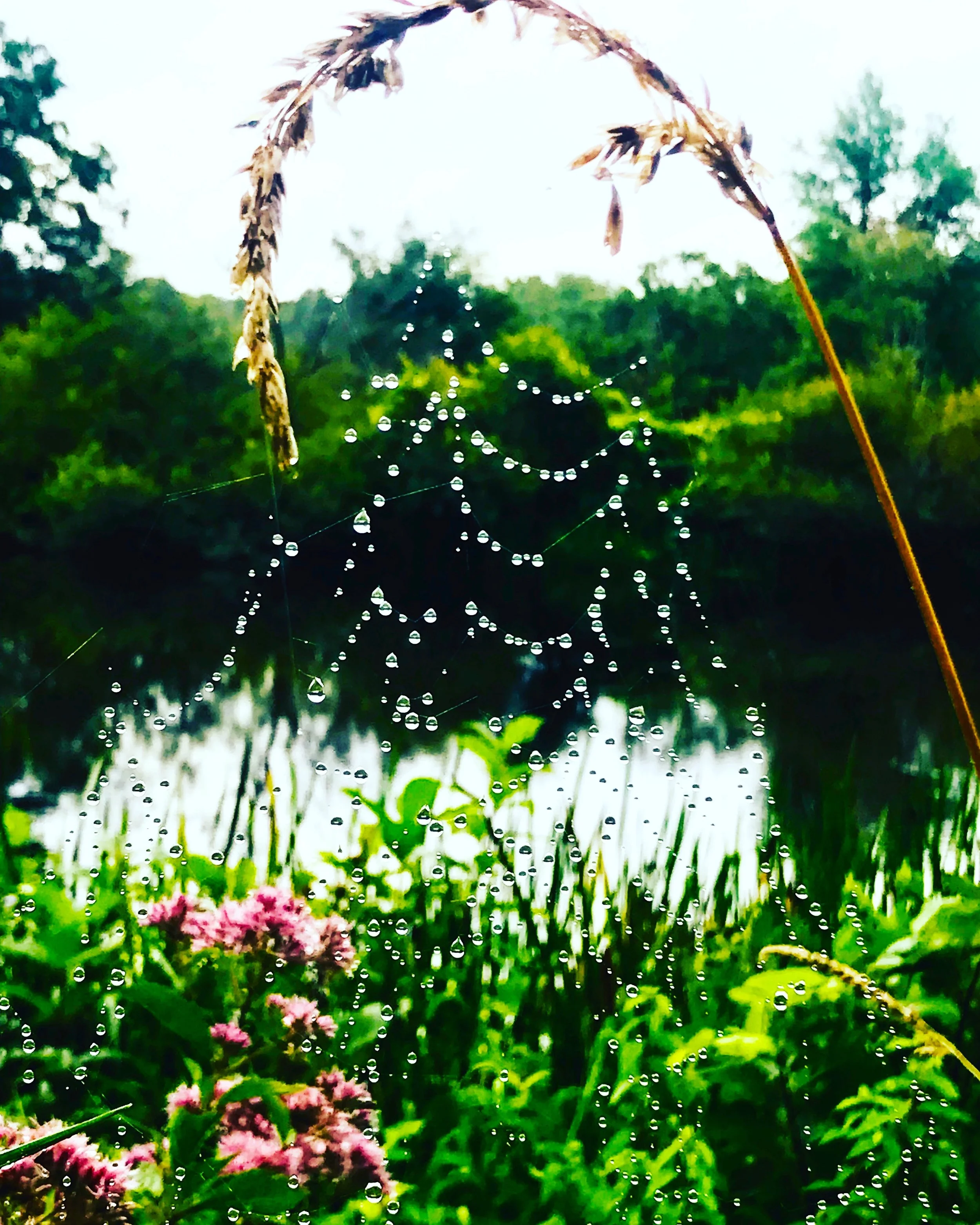 #NewThisDay Writing From My Photo Stream