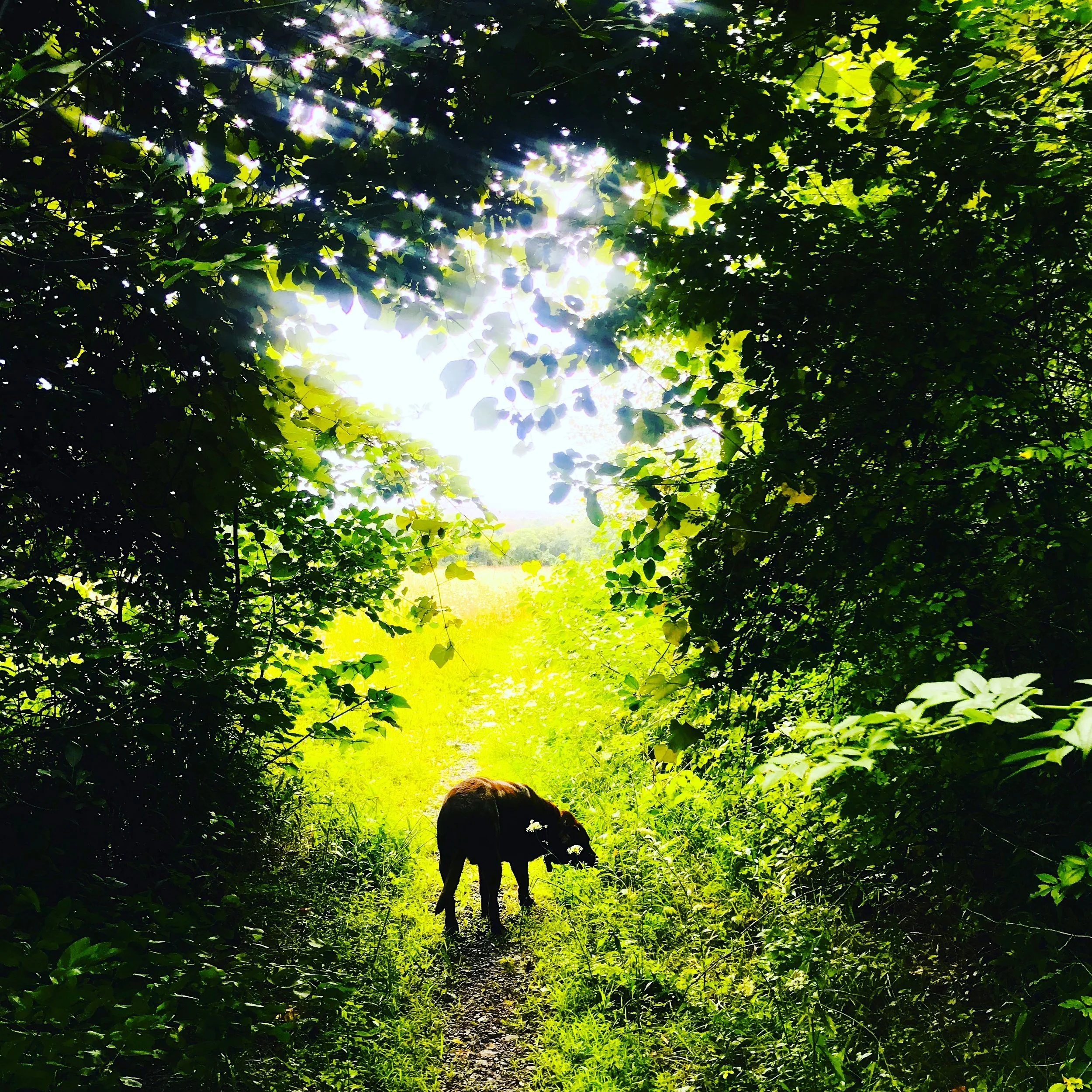 #NewThisDay Writing From My Photo Stream