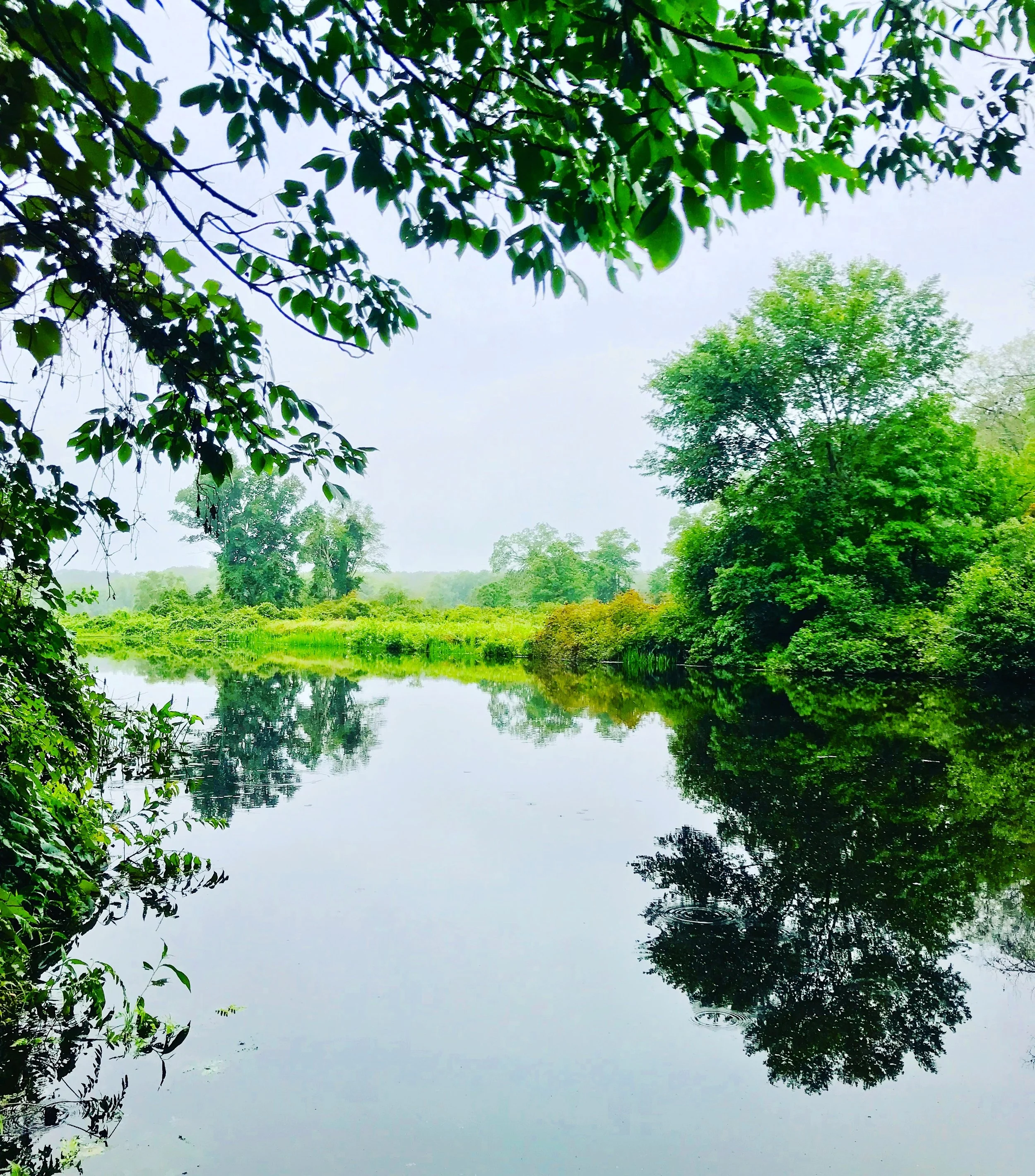 charles river view.JPG