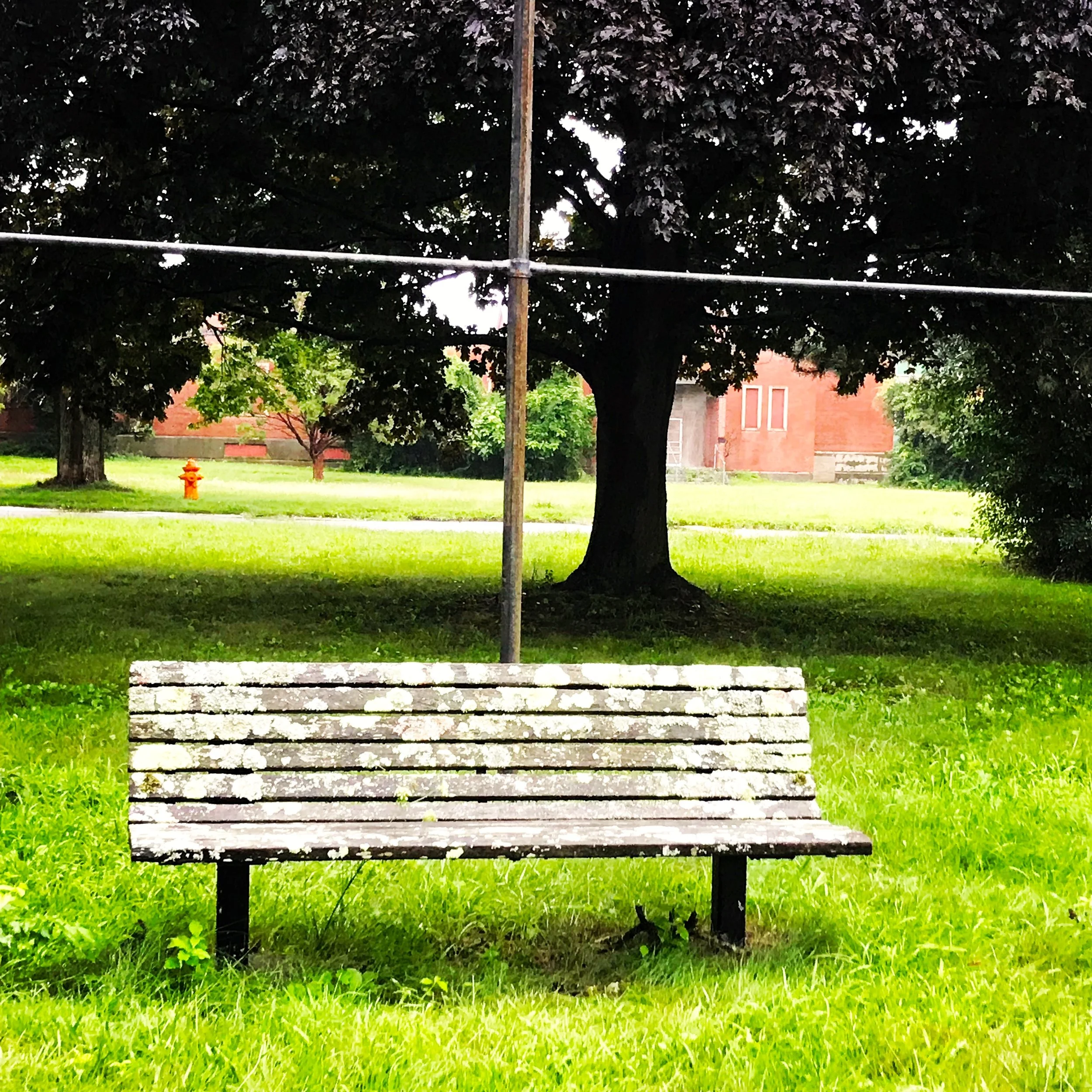 bench in rain.JPG