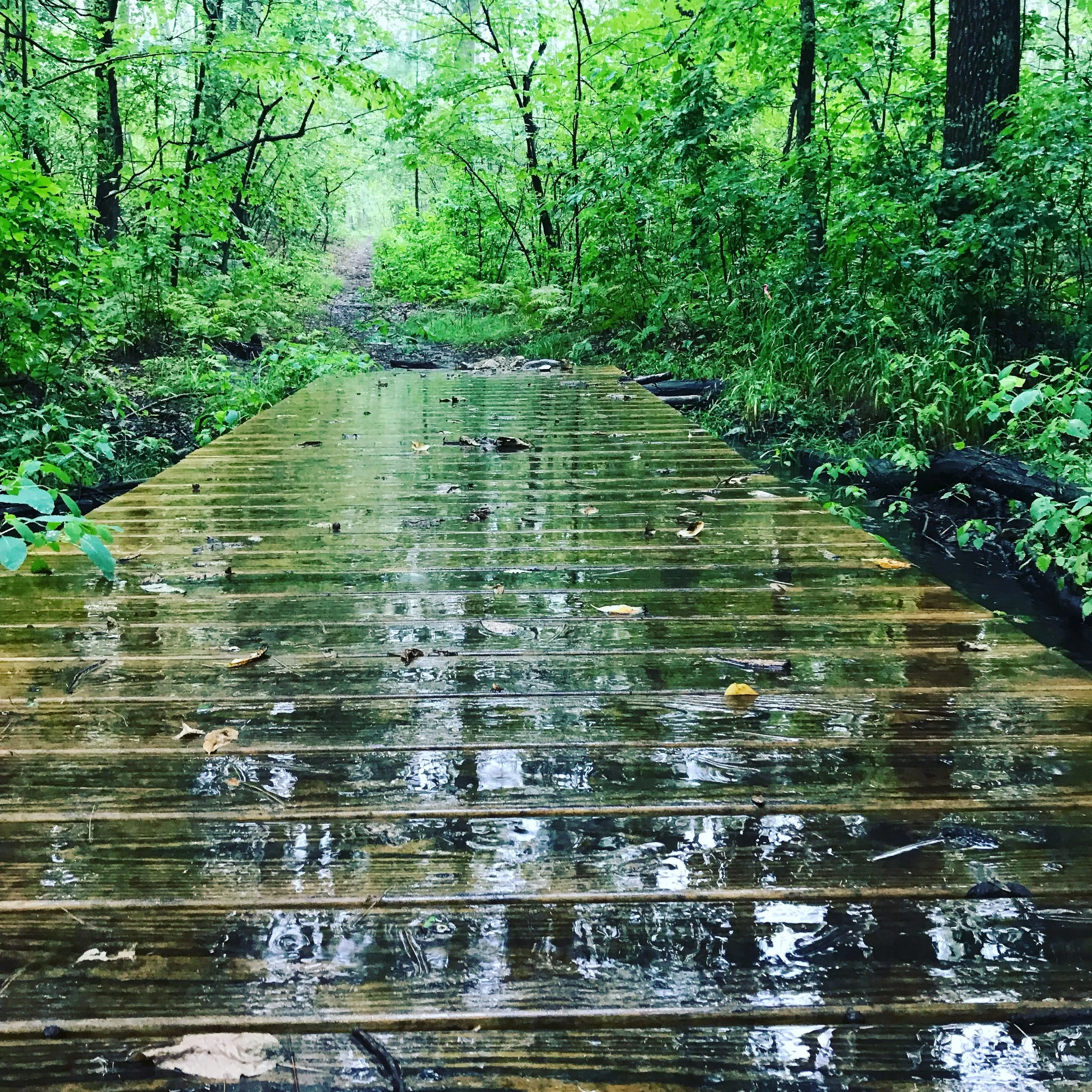 #NewThisDay Writing From My Photo Stream