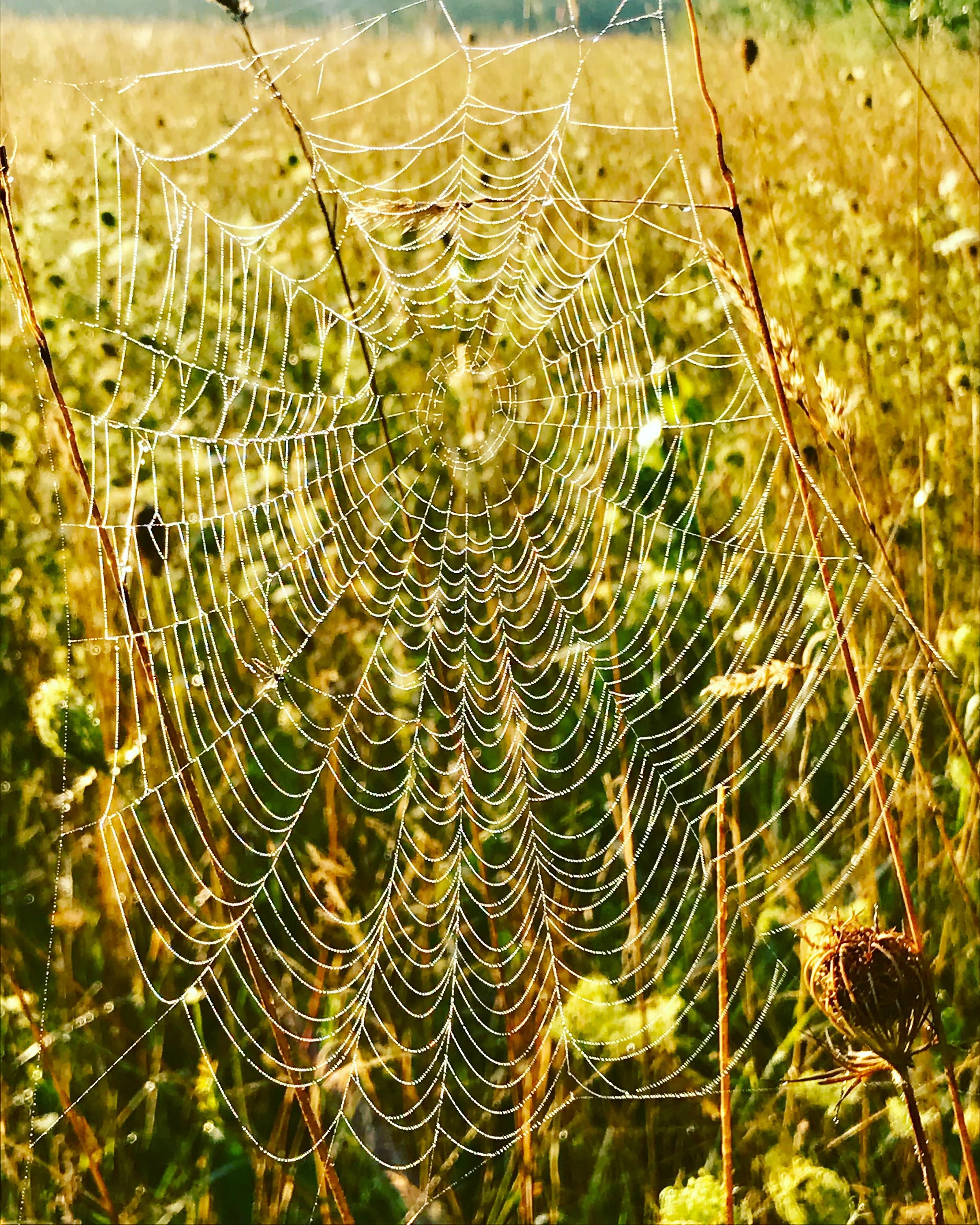 #NewThisDay Writing From My Photo Stream