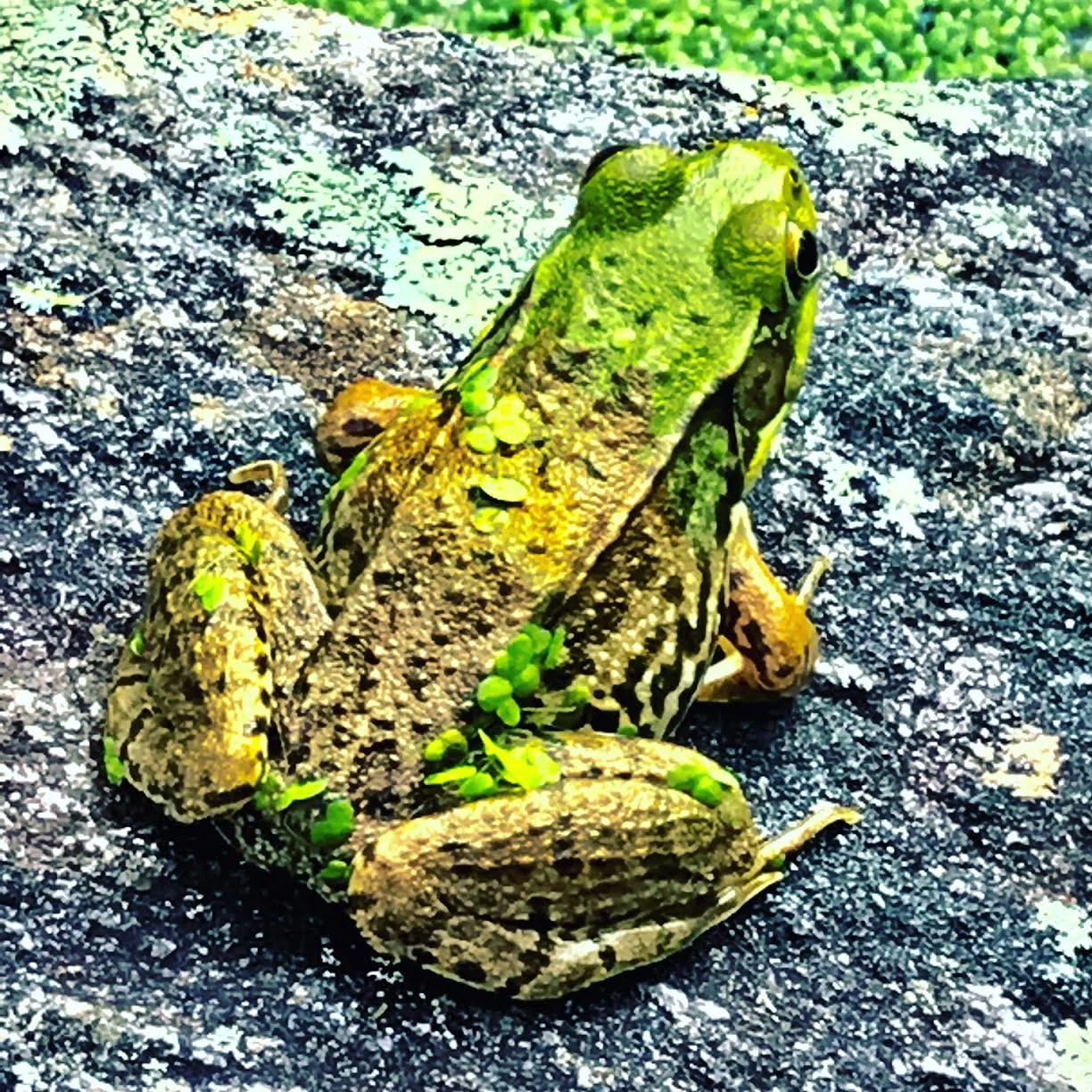 #NewThisDay Writing From My Photo Stream