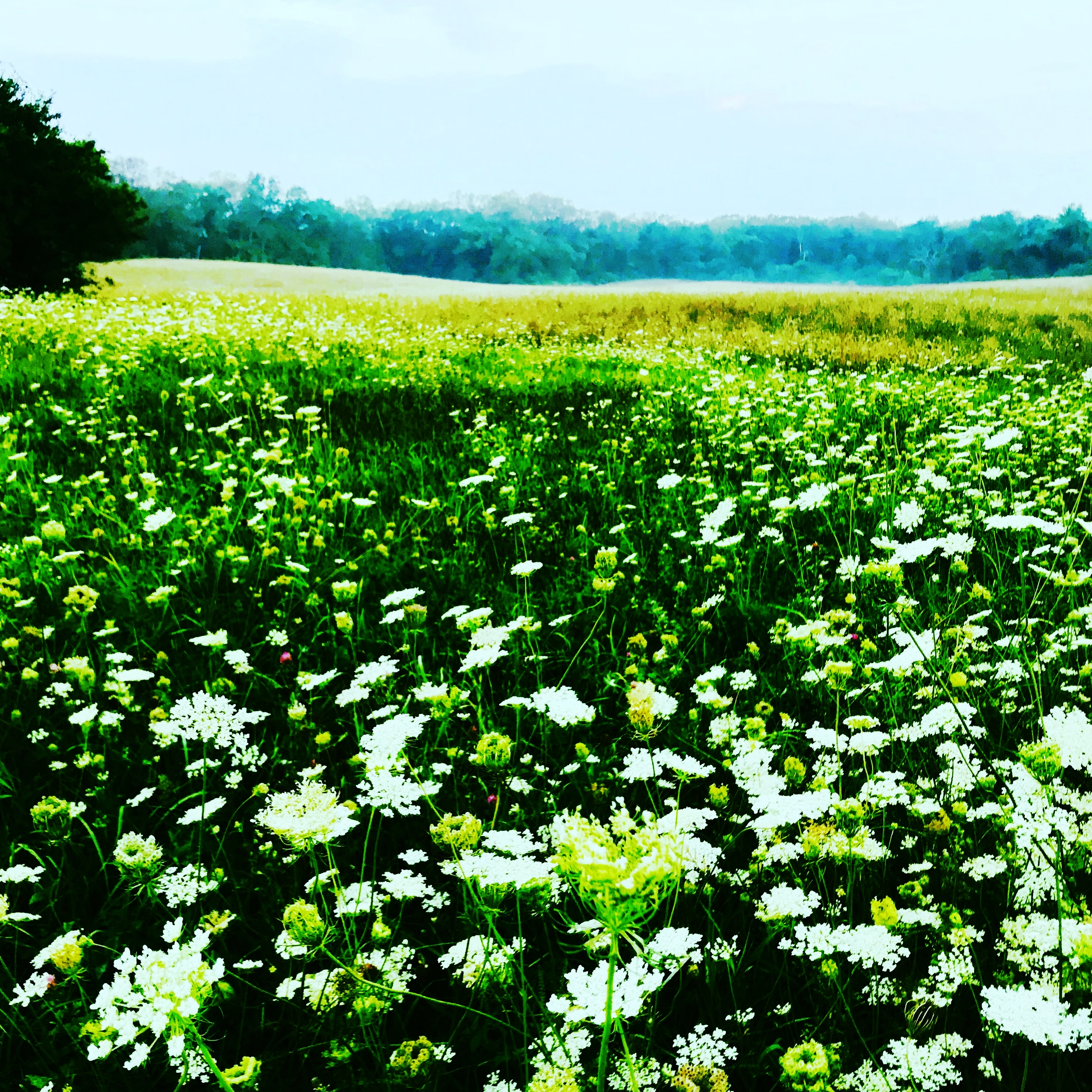 #NewThisDay Writing From My Photo Stream