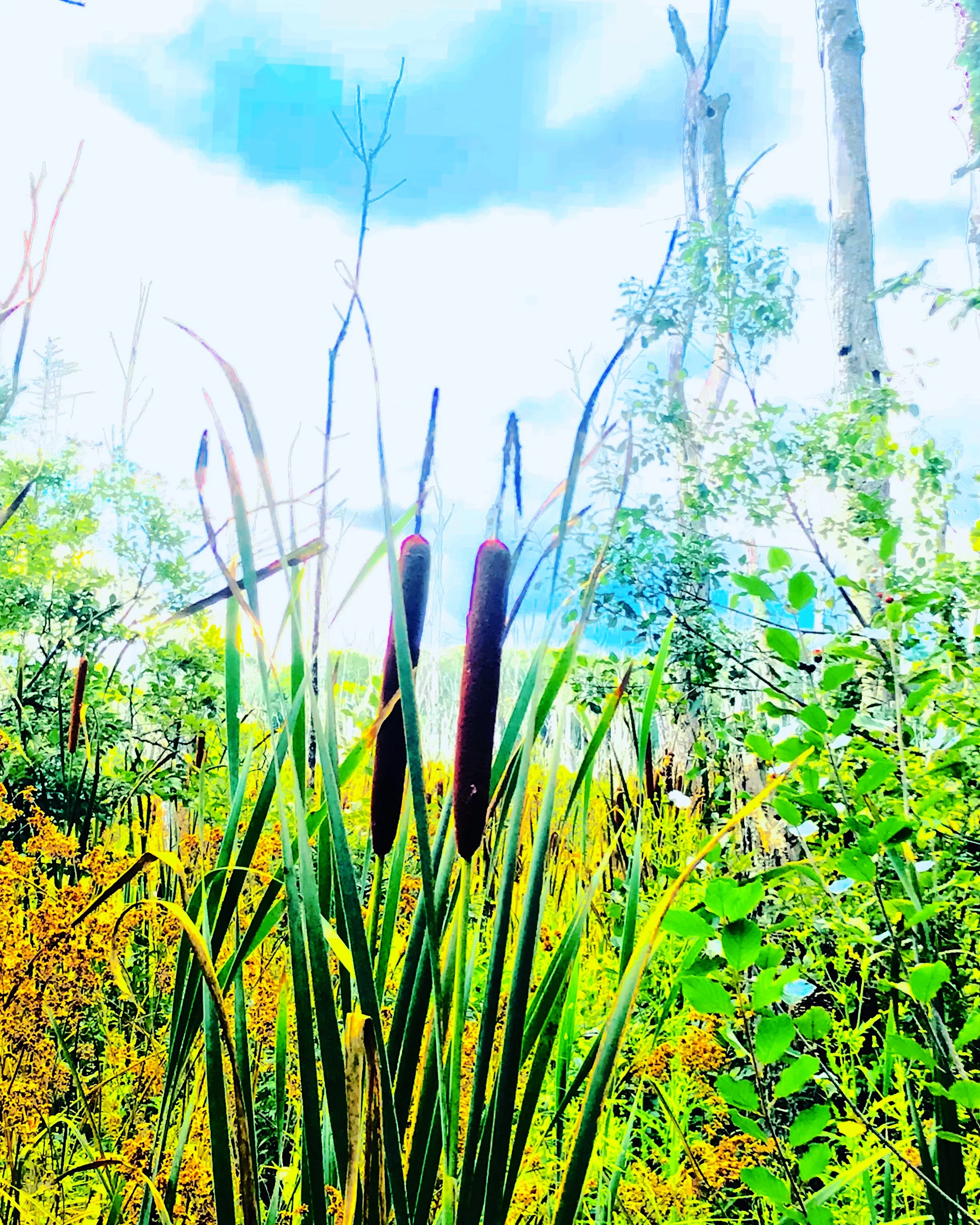 #NewThisDay Writing From My Photo Stream