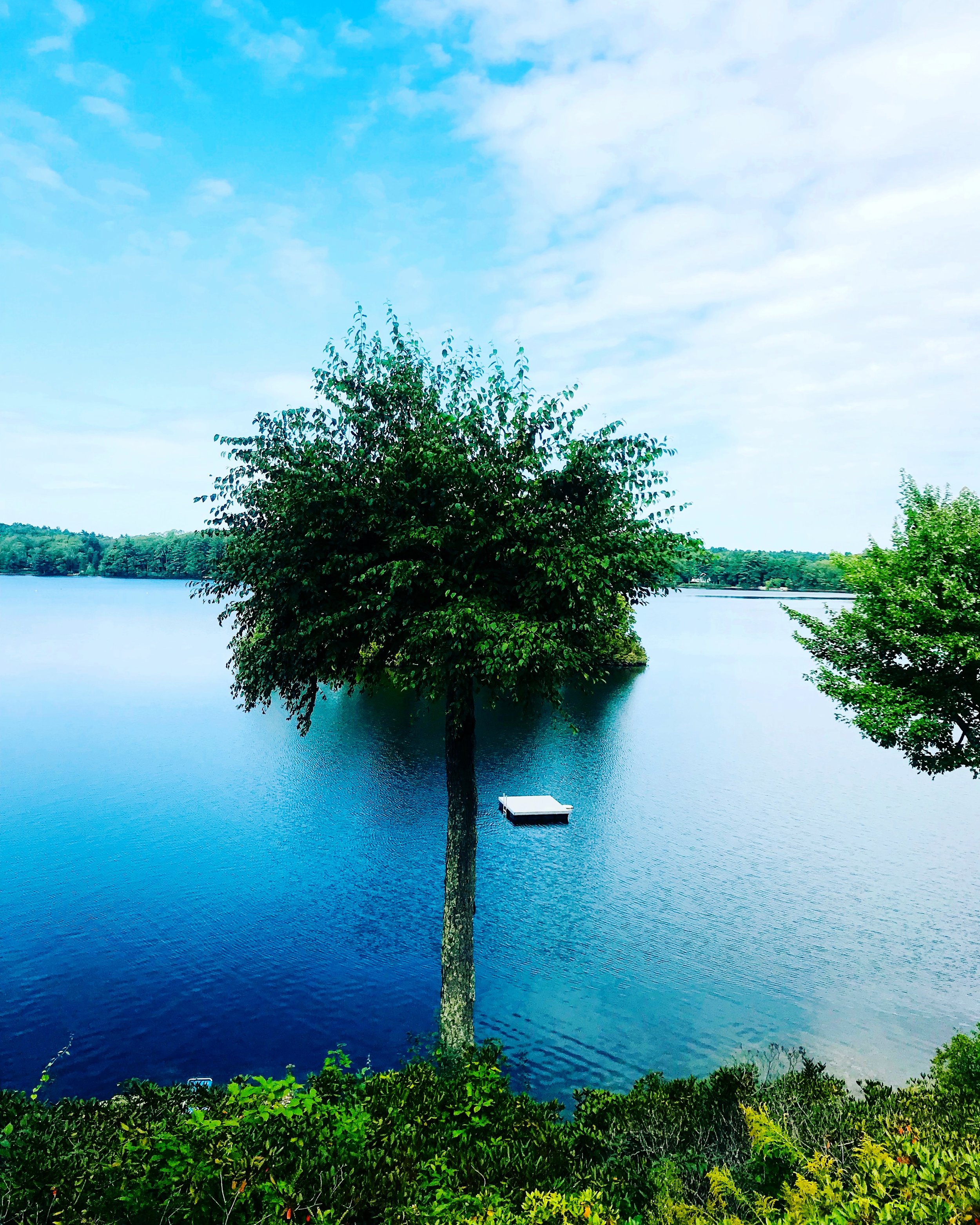 #NewThisDay Writing From My Photo Stream