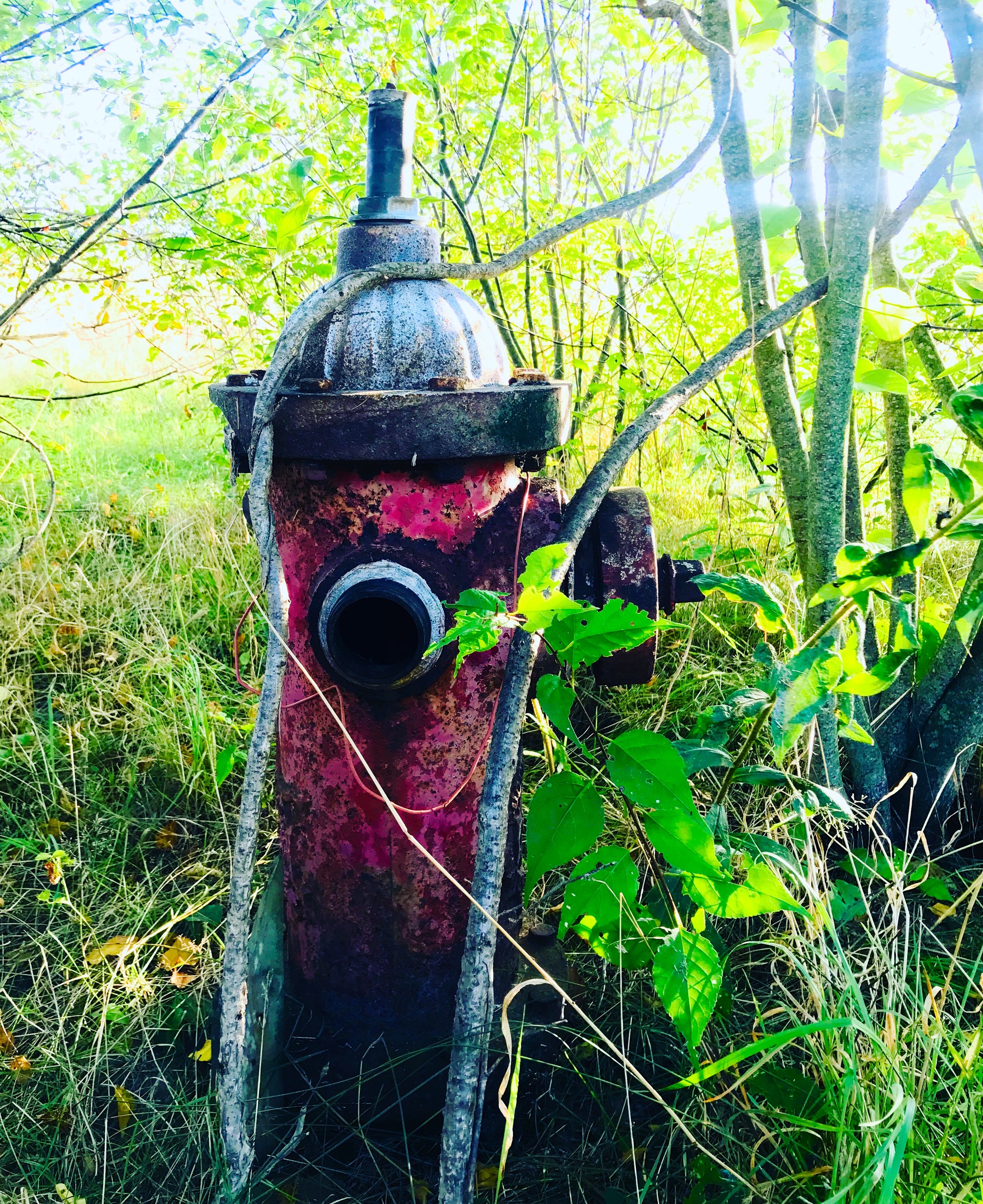 hydrant 2018 fall.JPG