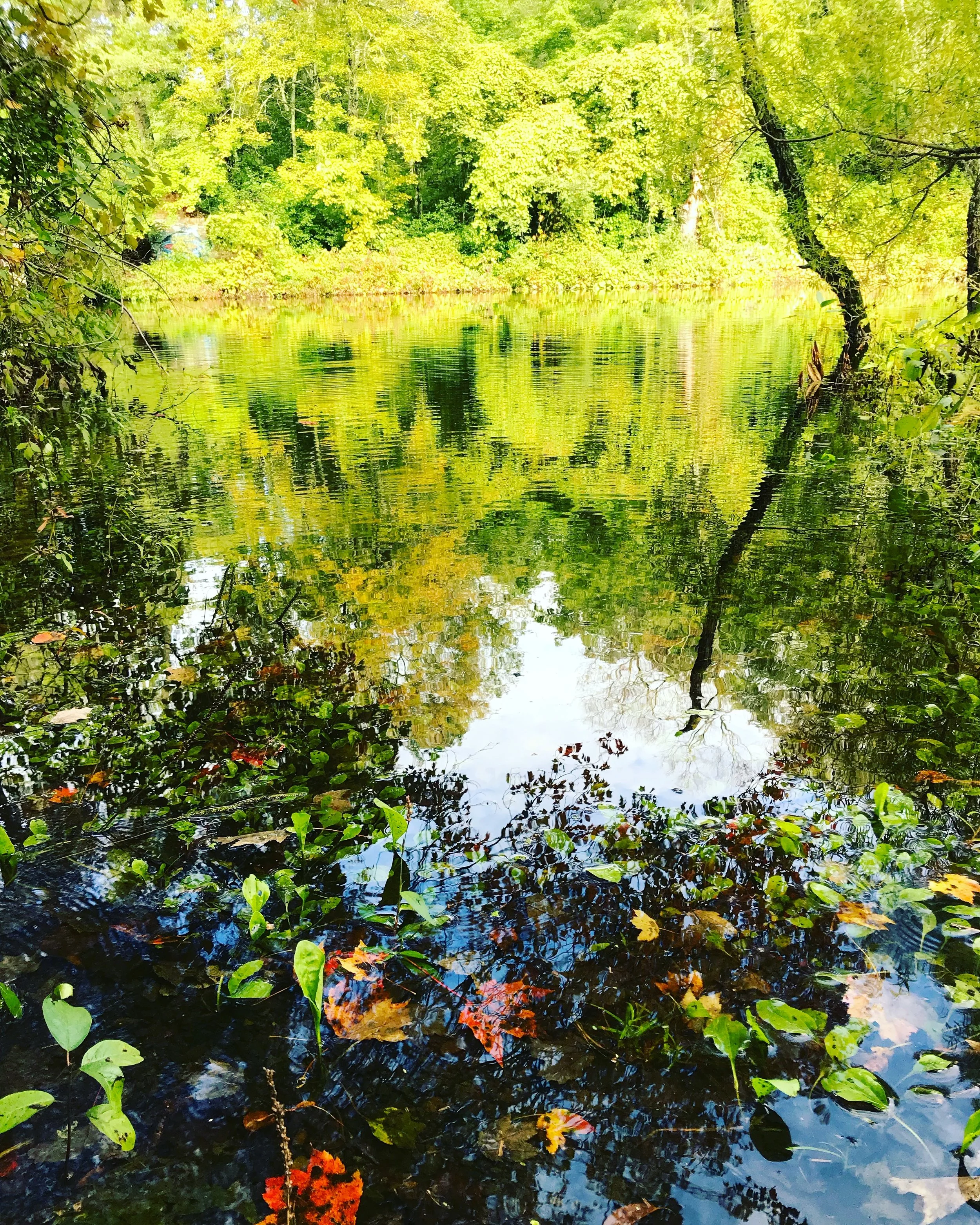 charles river.JPG