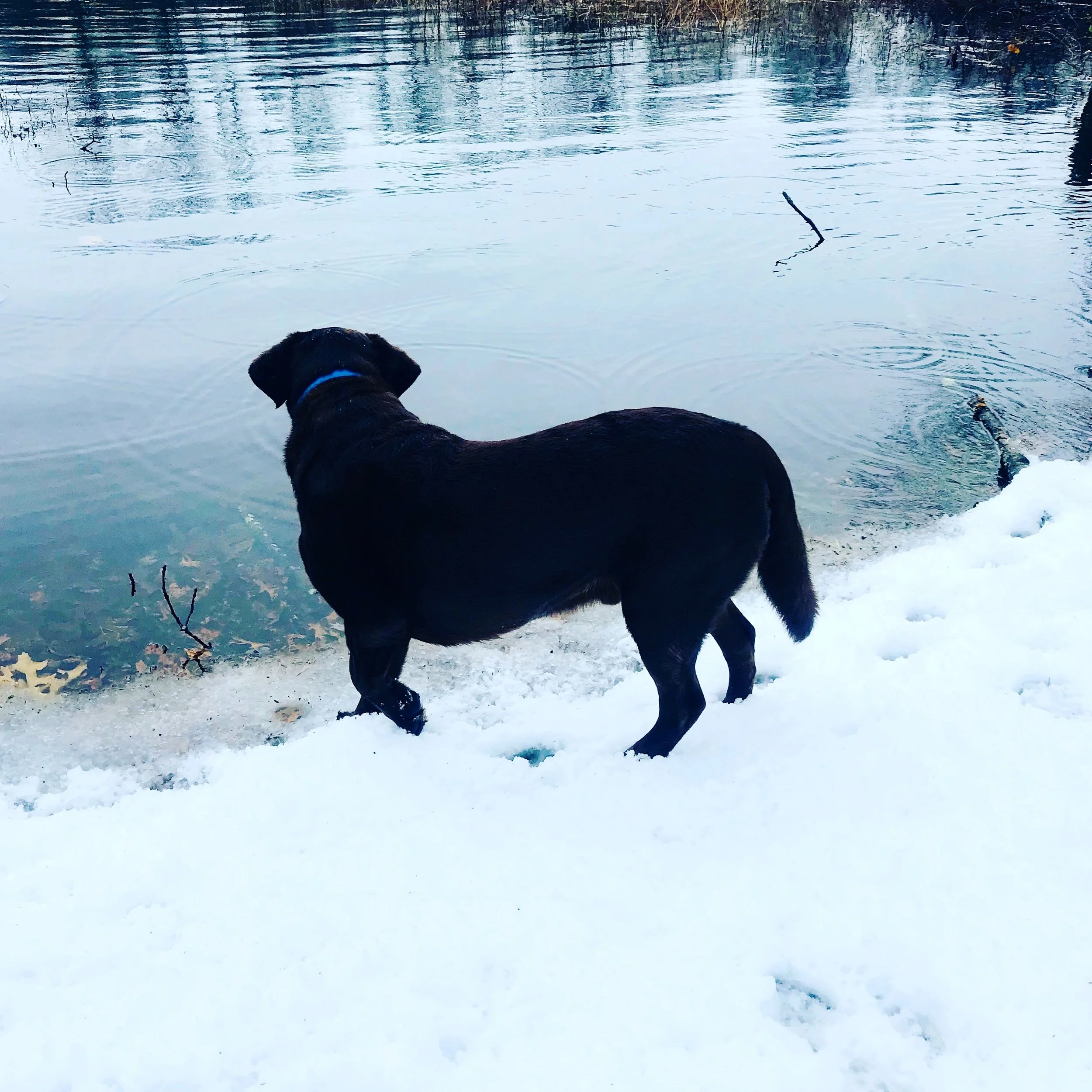 Charles on Charles