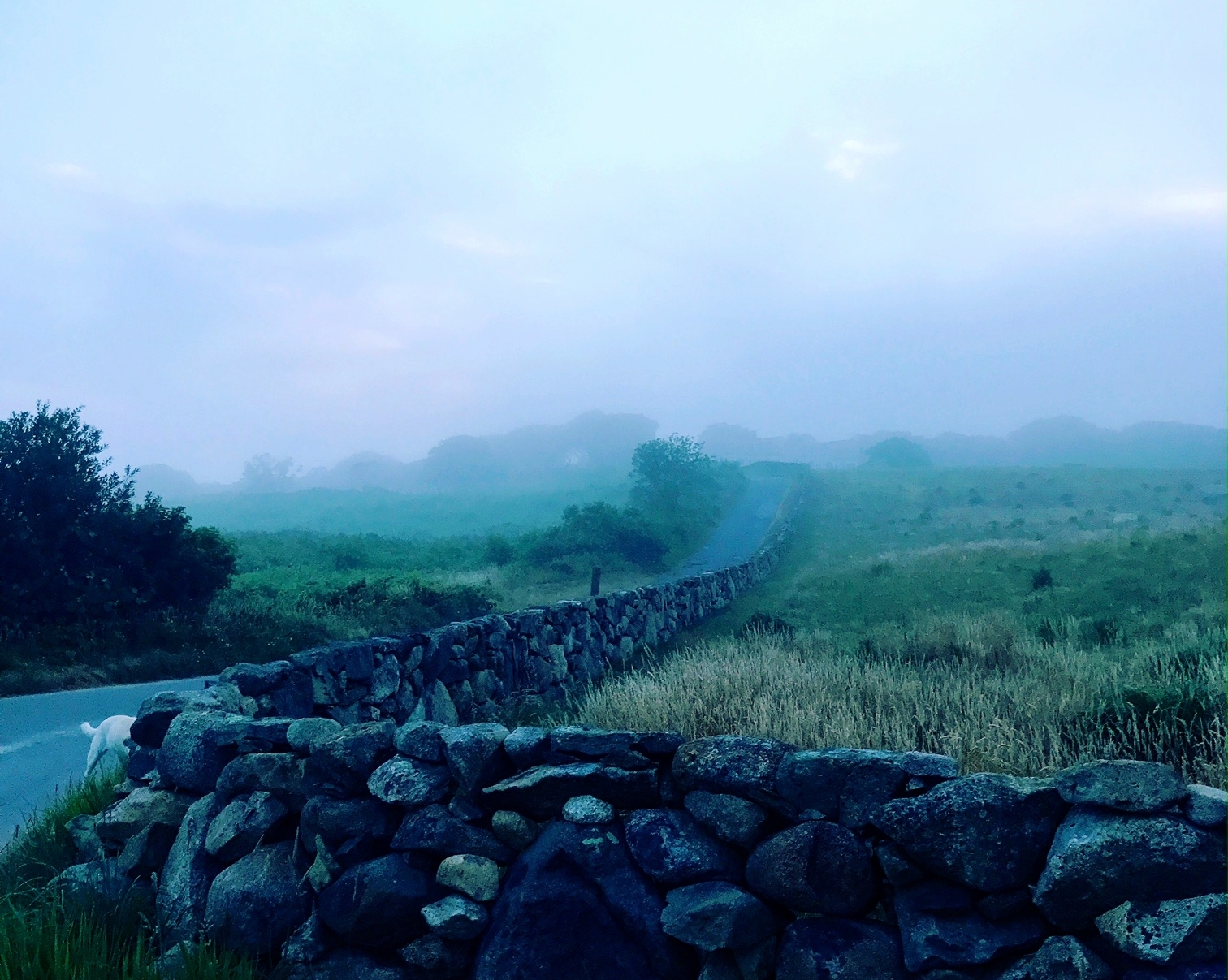 brick wall fog.JPG