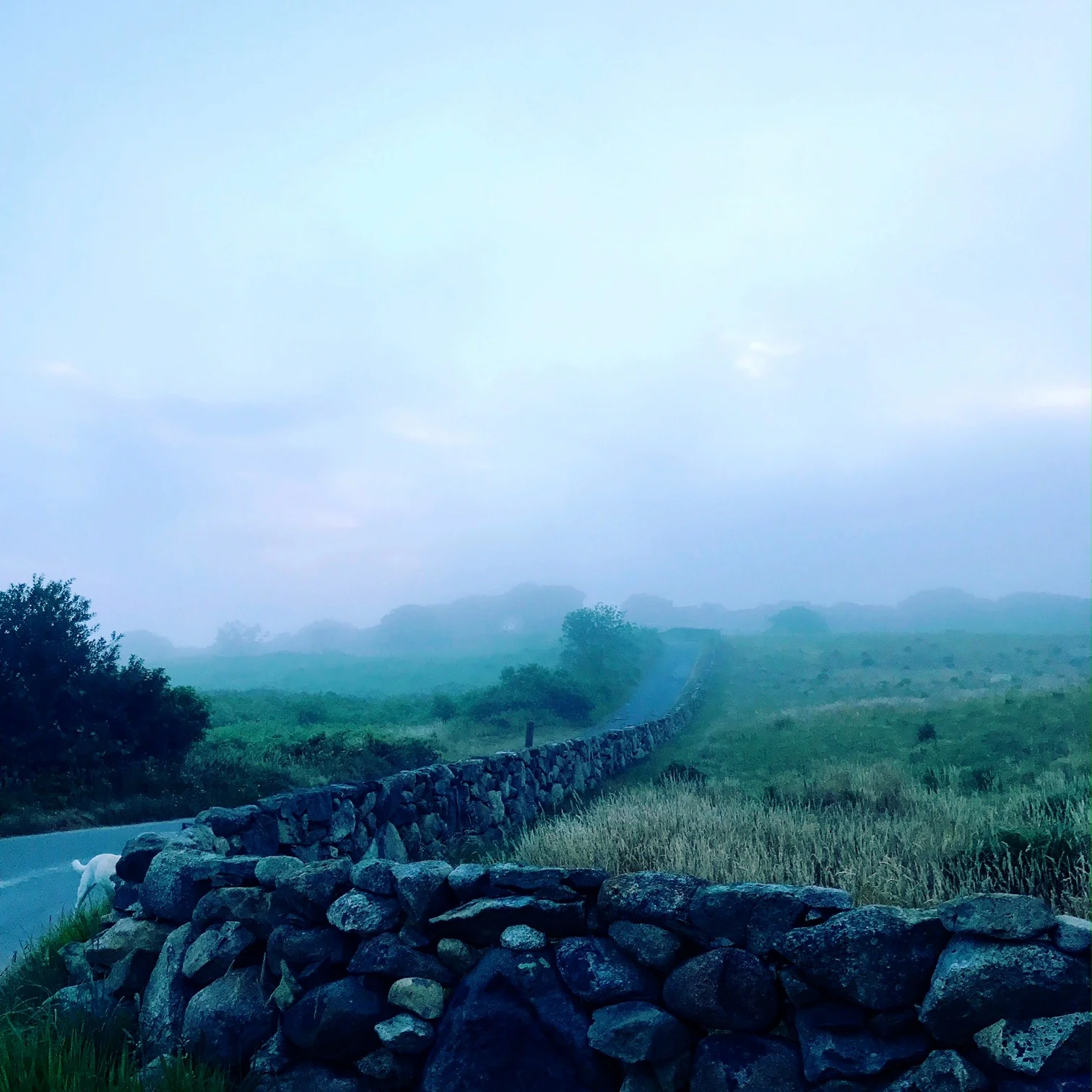 brick wall fog.JPG