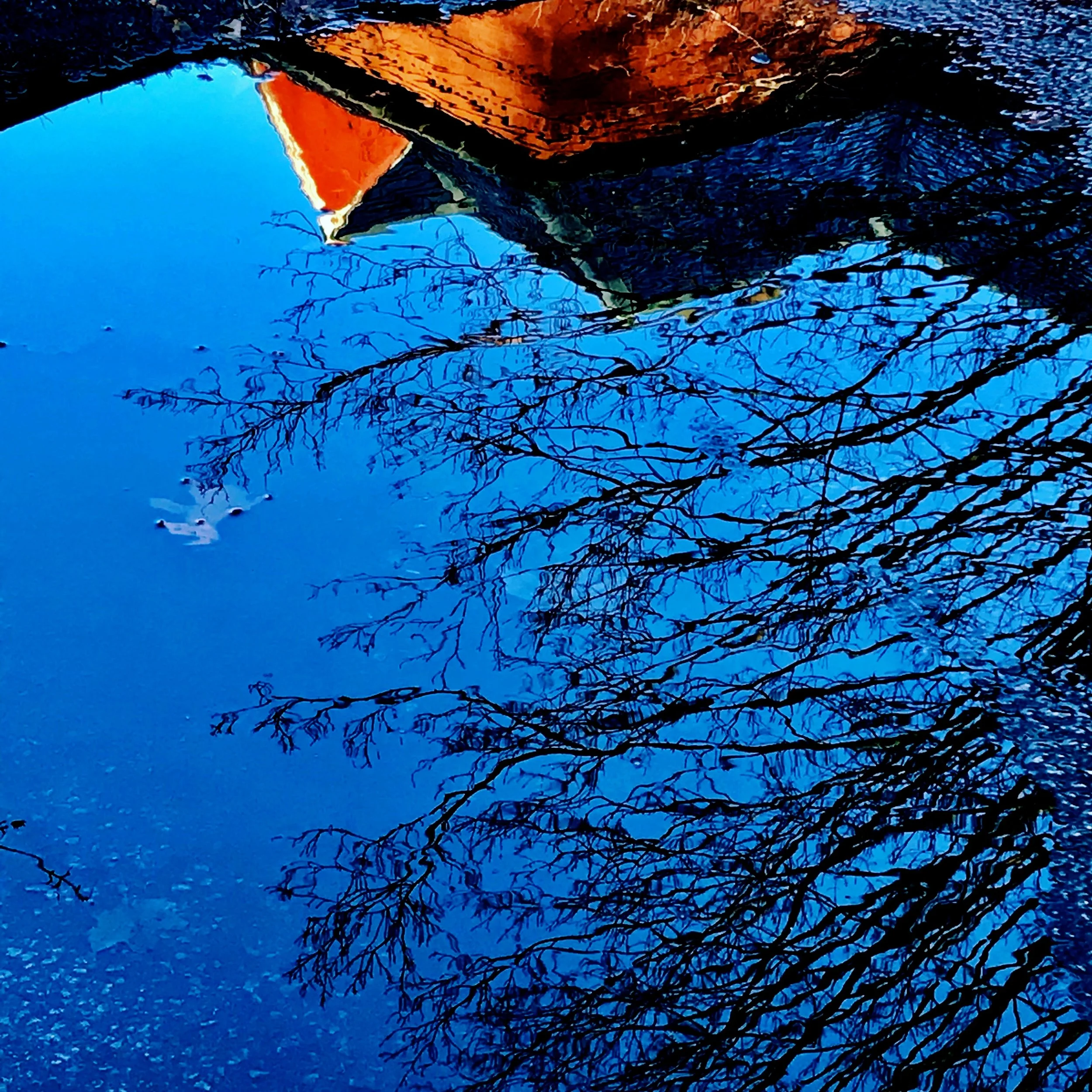 blue puddle red roof.JPG
