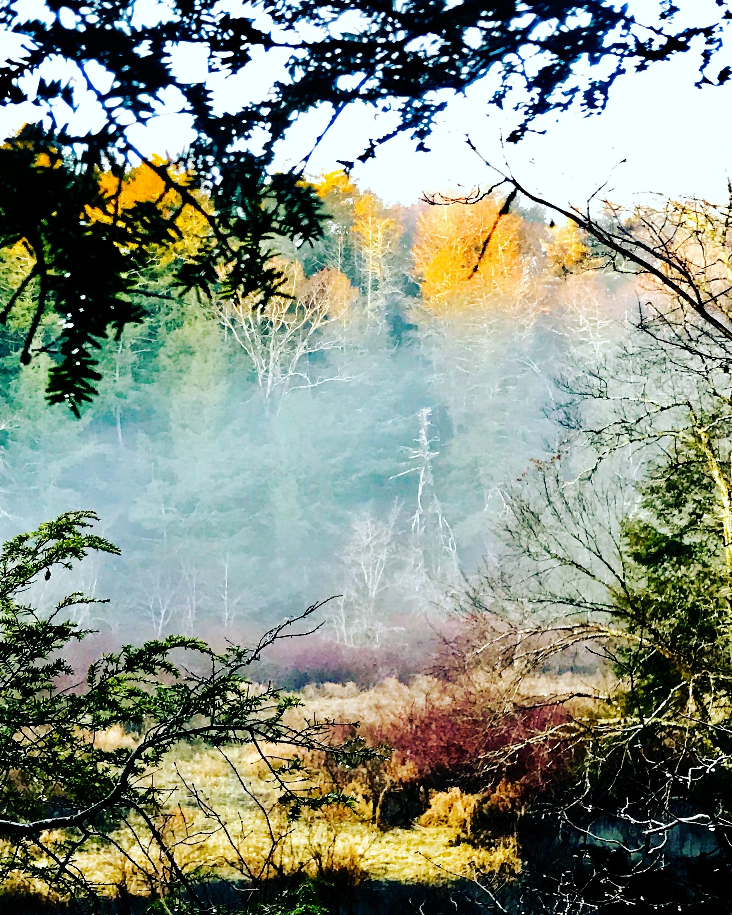 gold green river.JPG