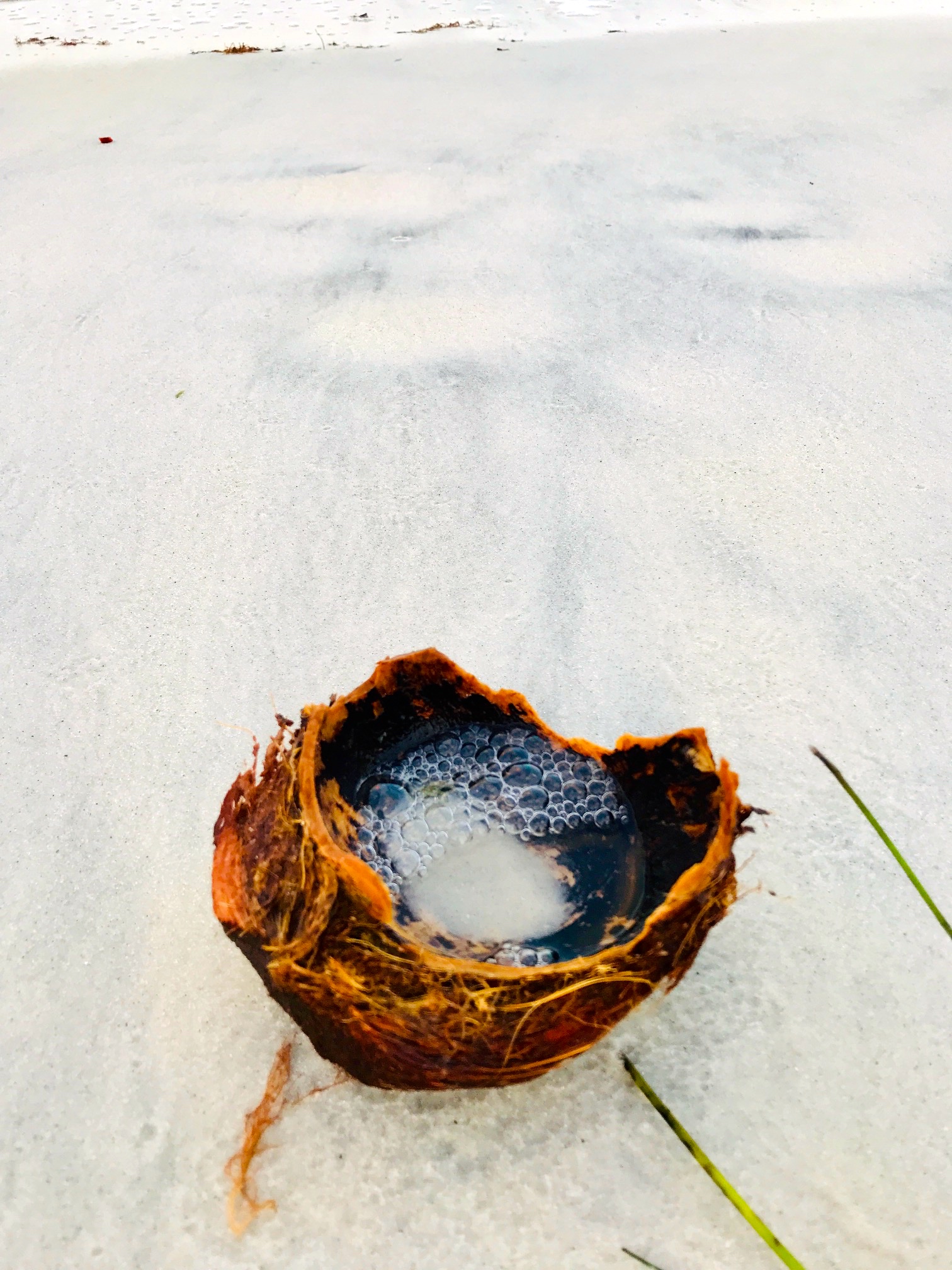 coconut bowl.jpg