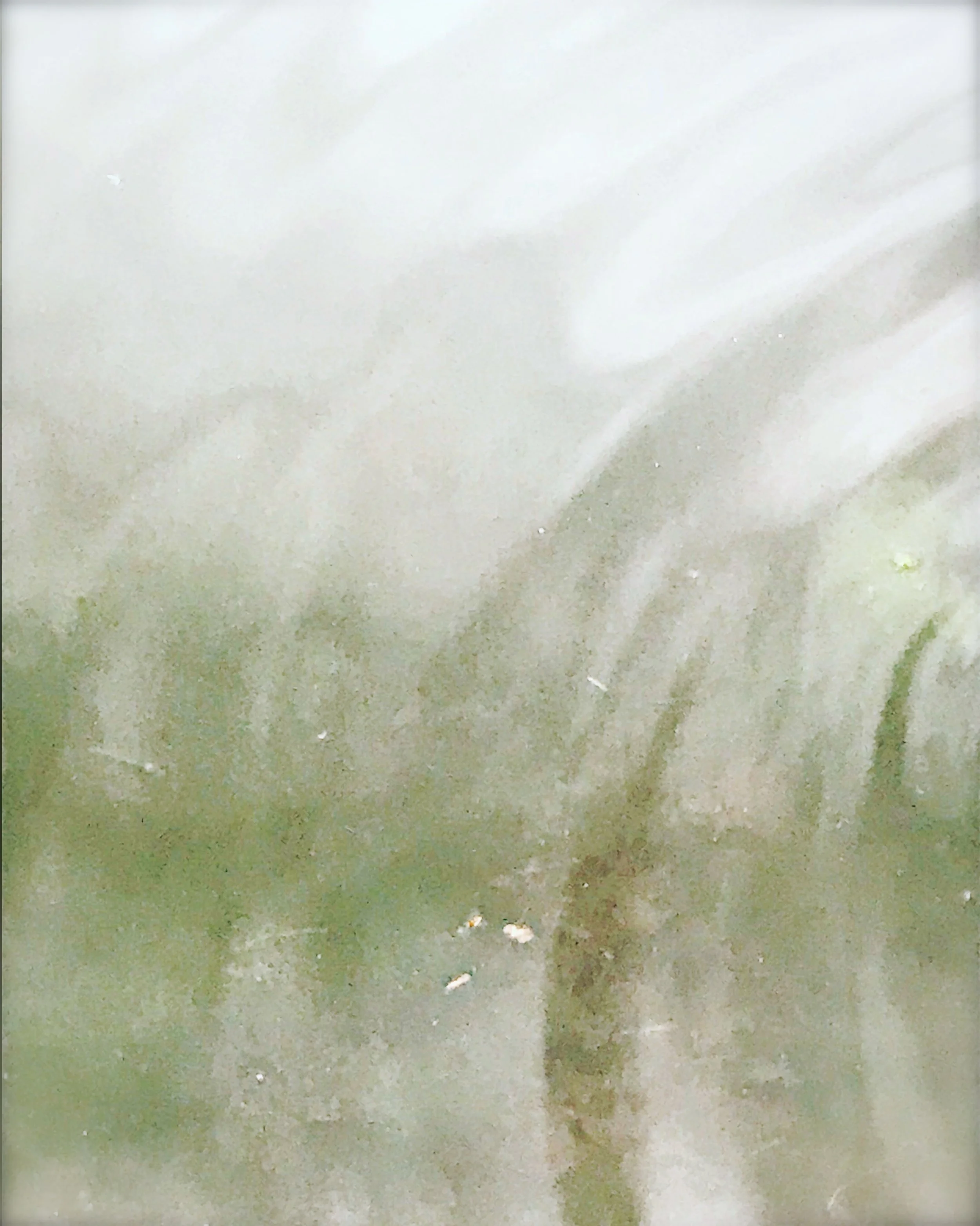 CHARLES RIVER.JPG